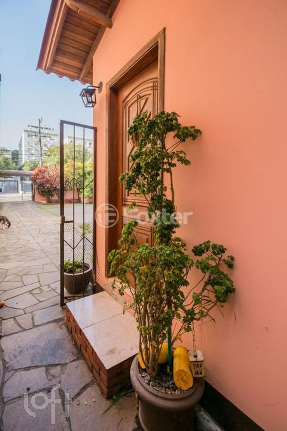 Imagem da propriedade 33