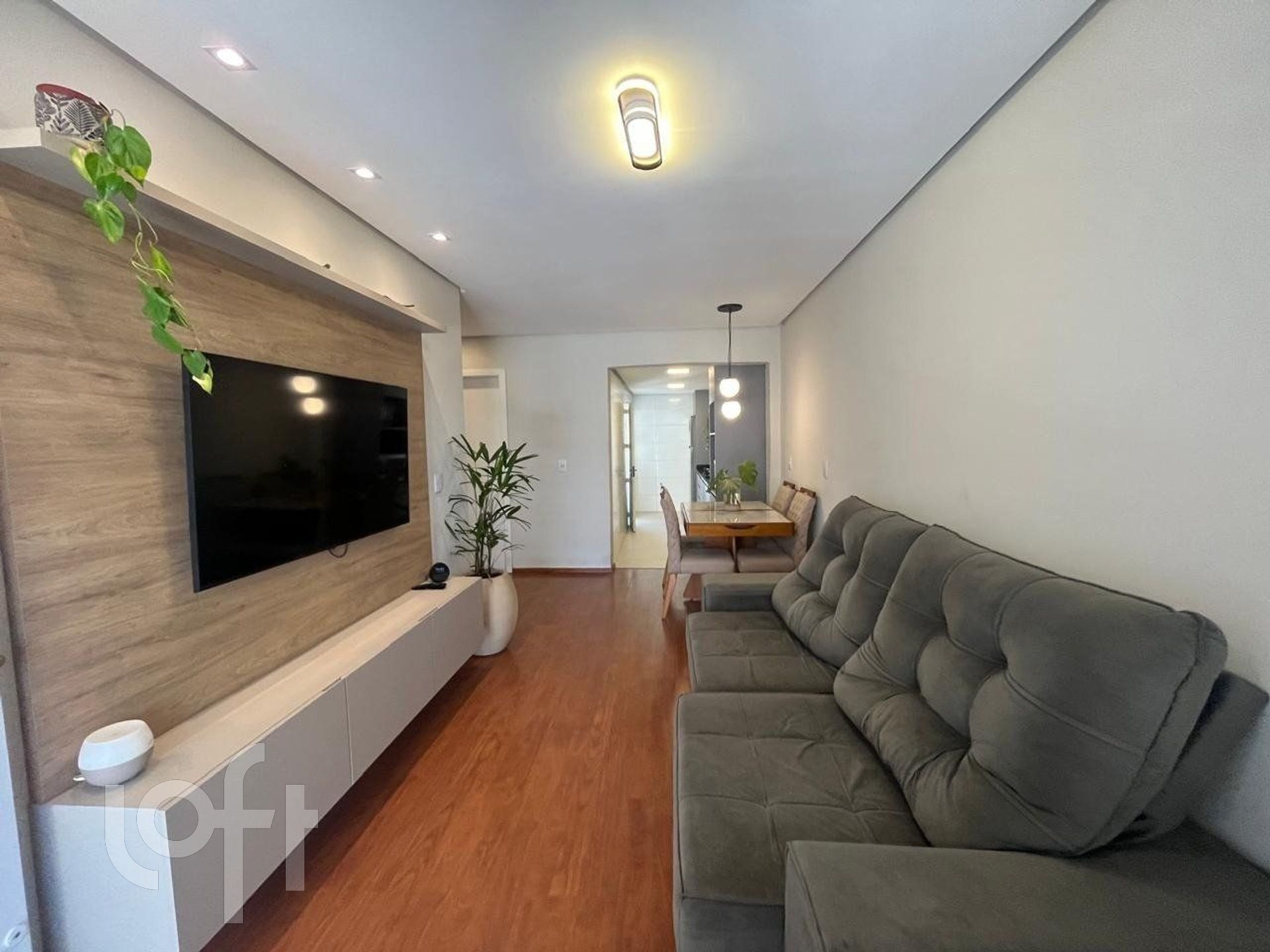 Imagem da propriedade 3