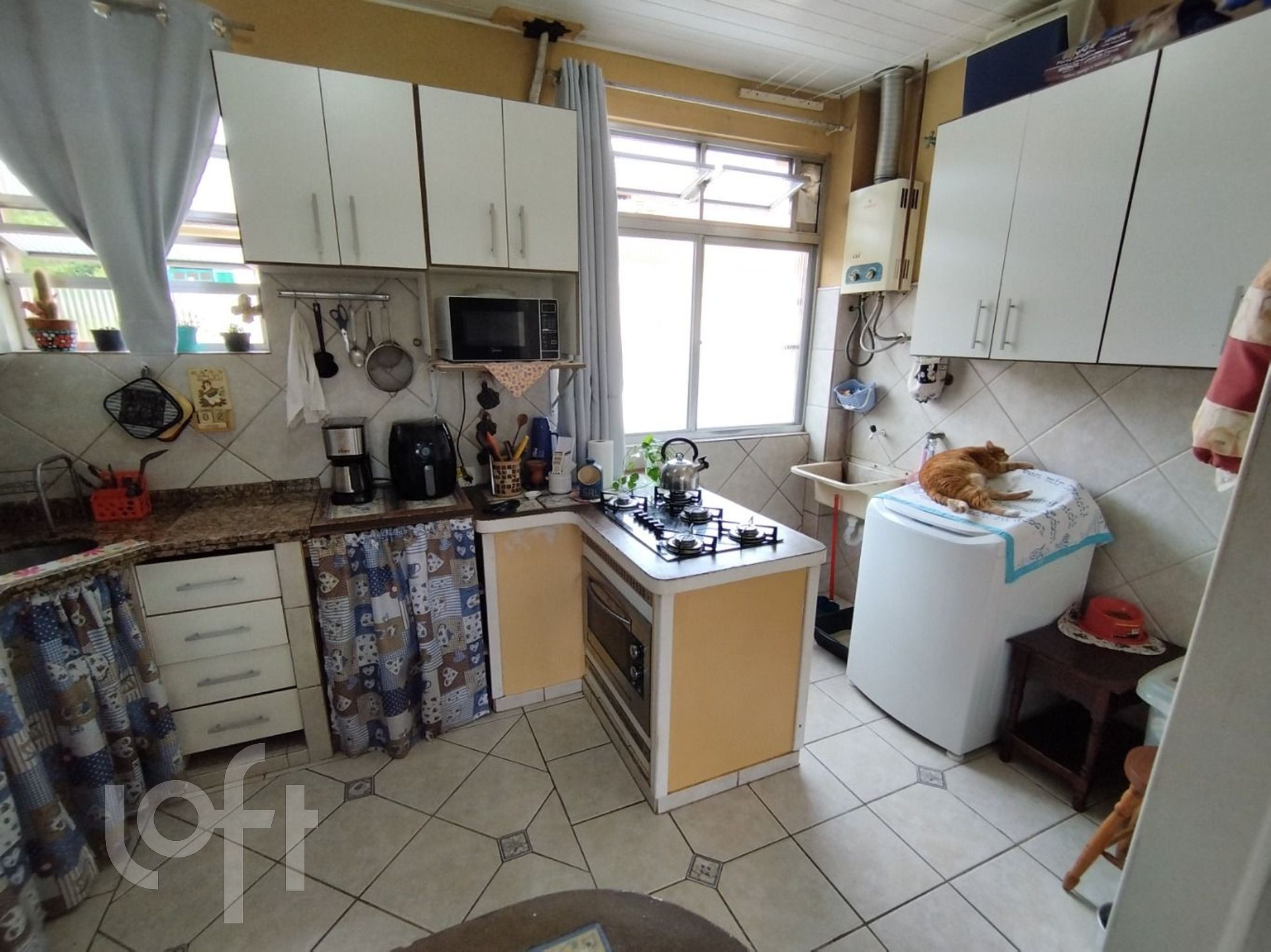 Imagem da propriedade 4