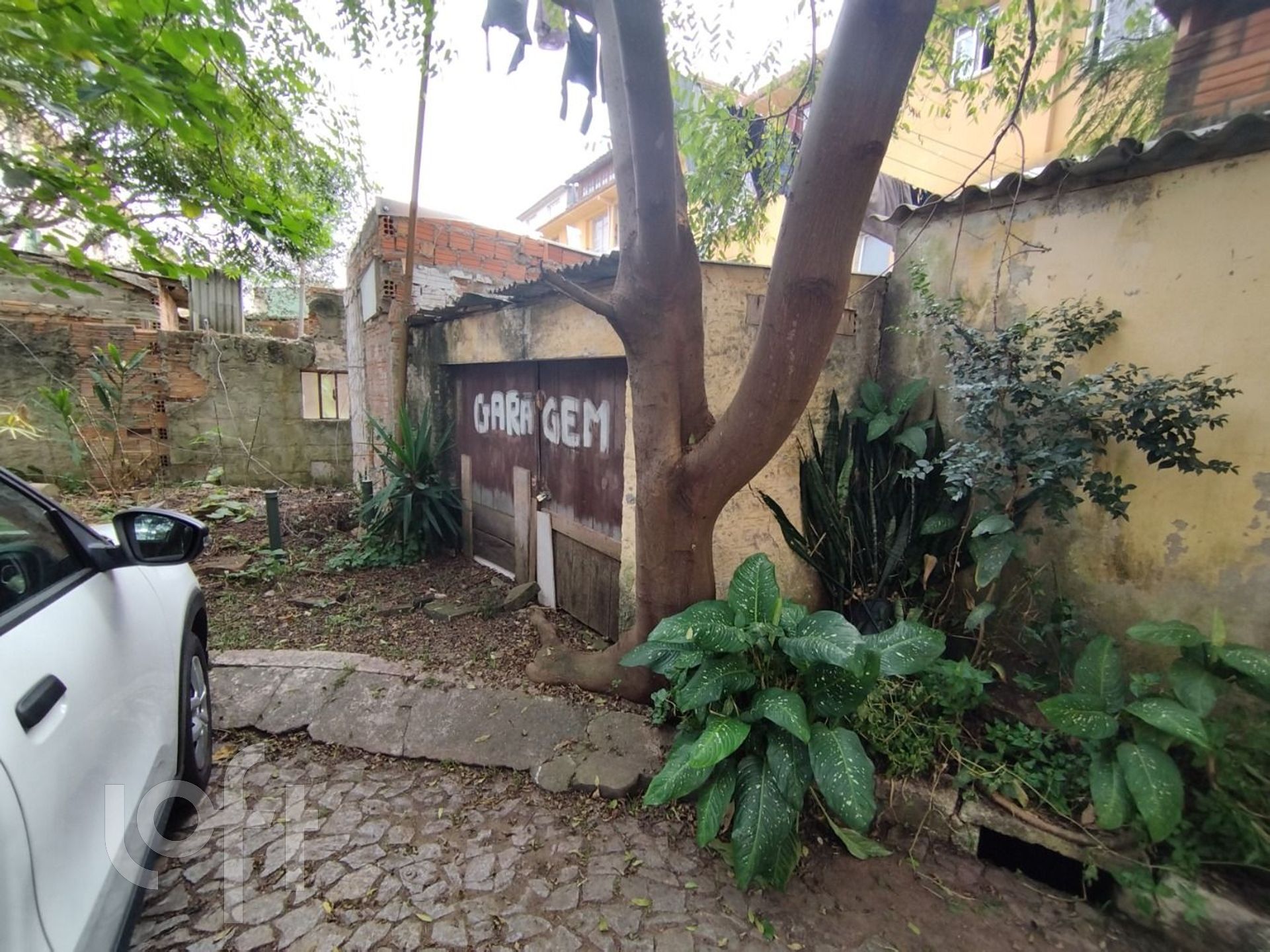 Imagem da propriedade 12