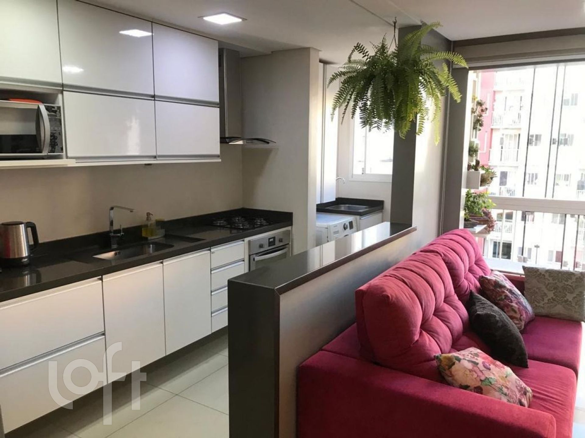 Imagem da propriedade 13