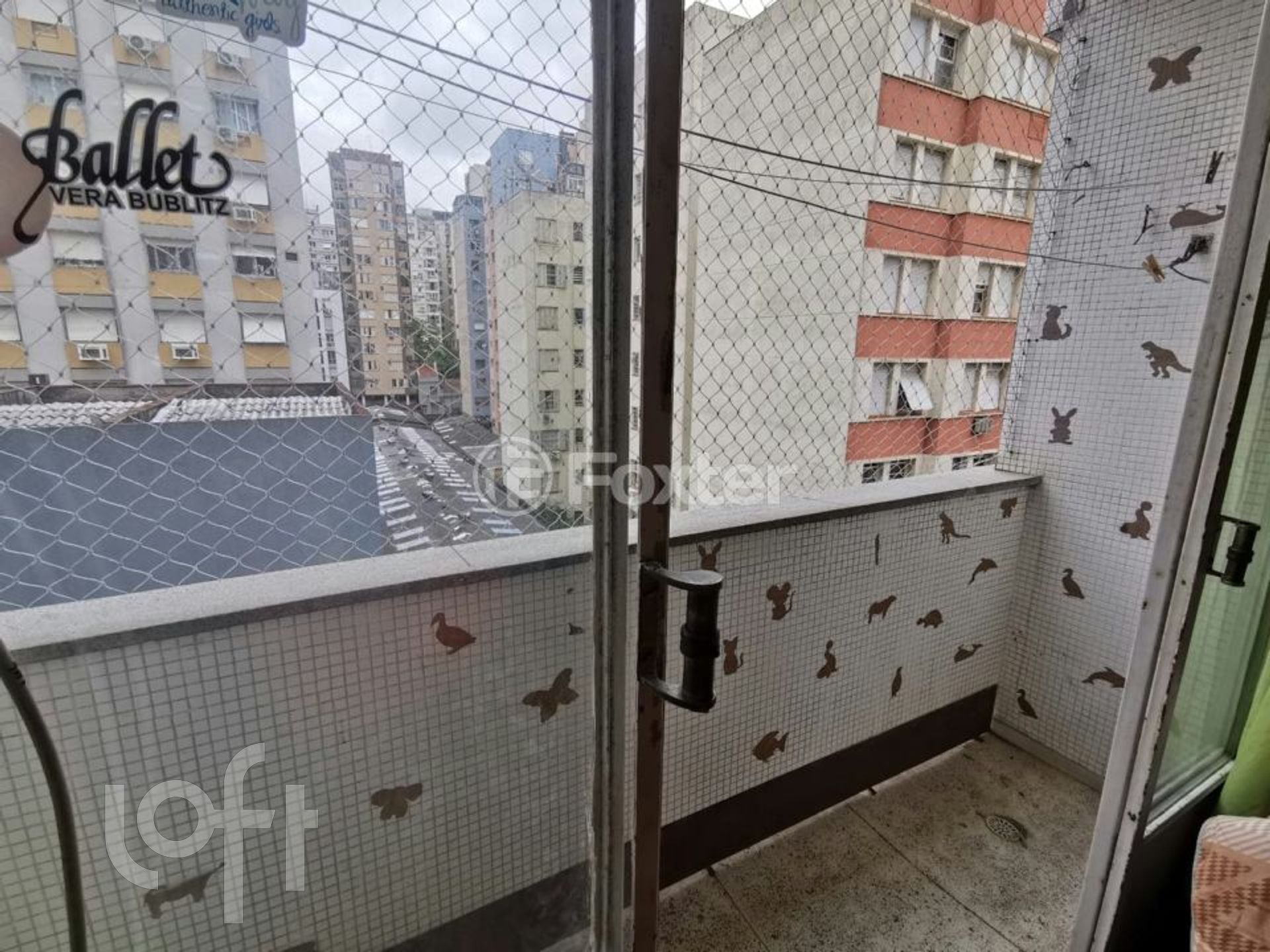 Imagem da propriedade 21