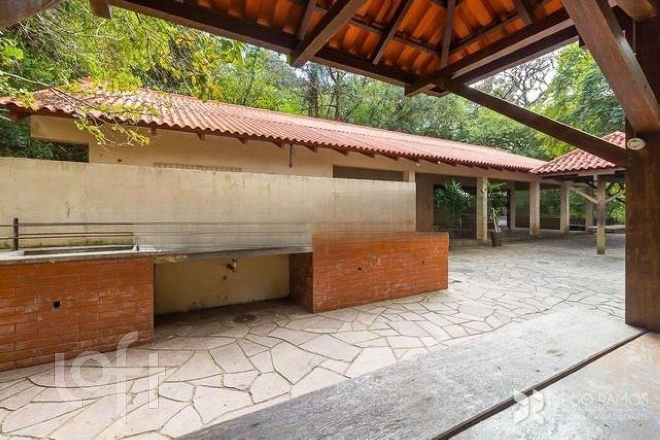 Imagem da propriedade 3