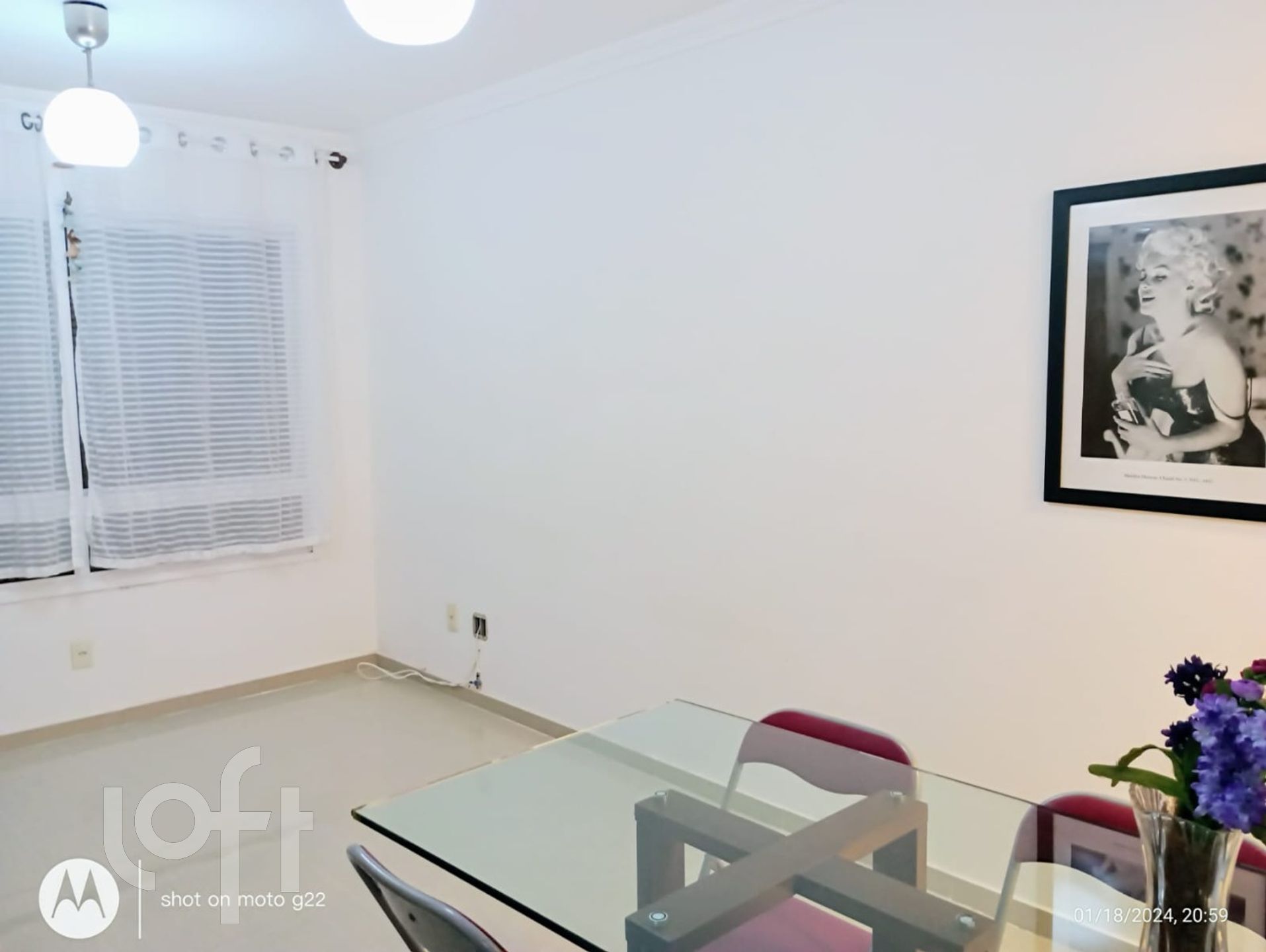 Imagem da propriedade 15