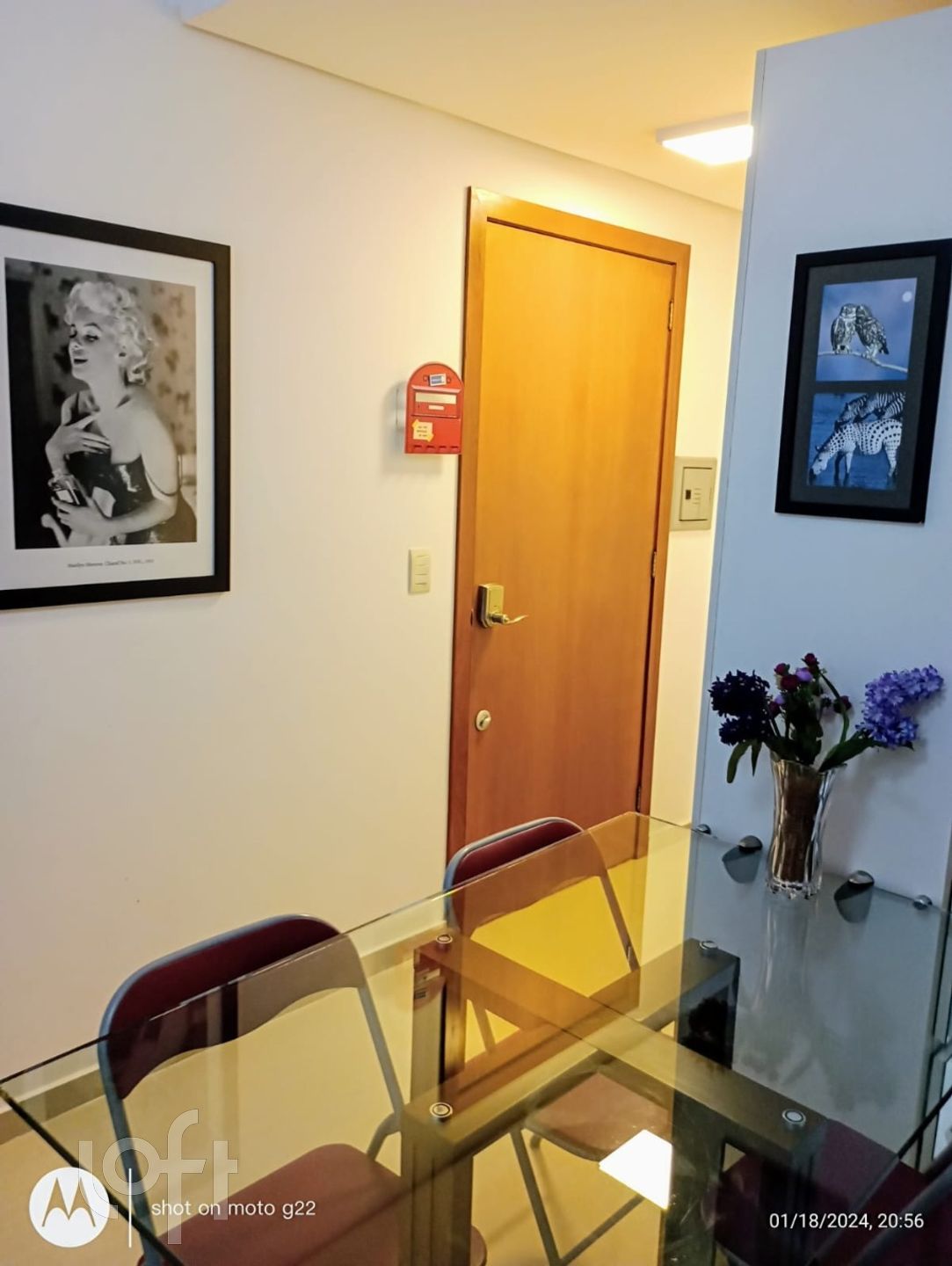 Imagem da propriedade 9