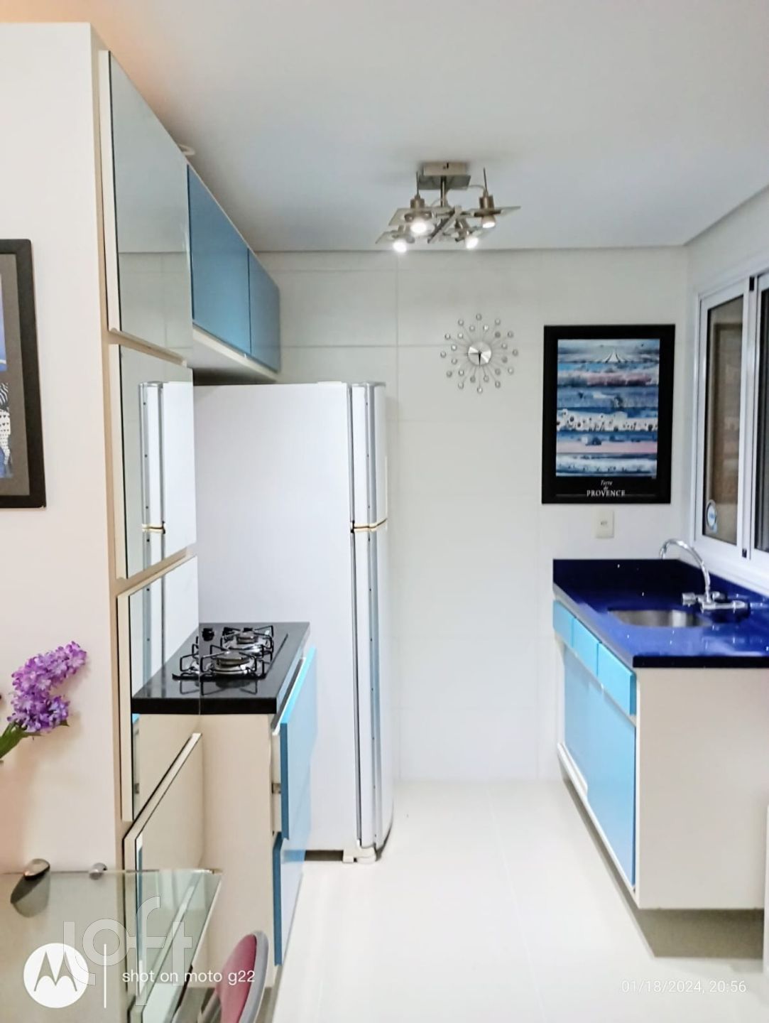 Imagem da propriedade 6