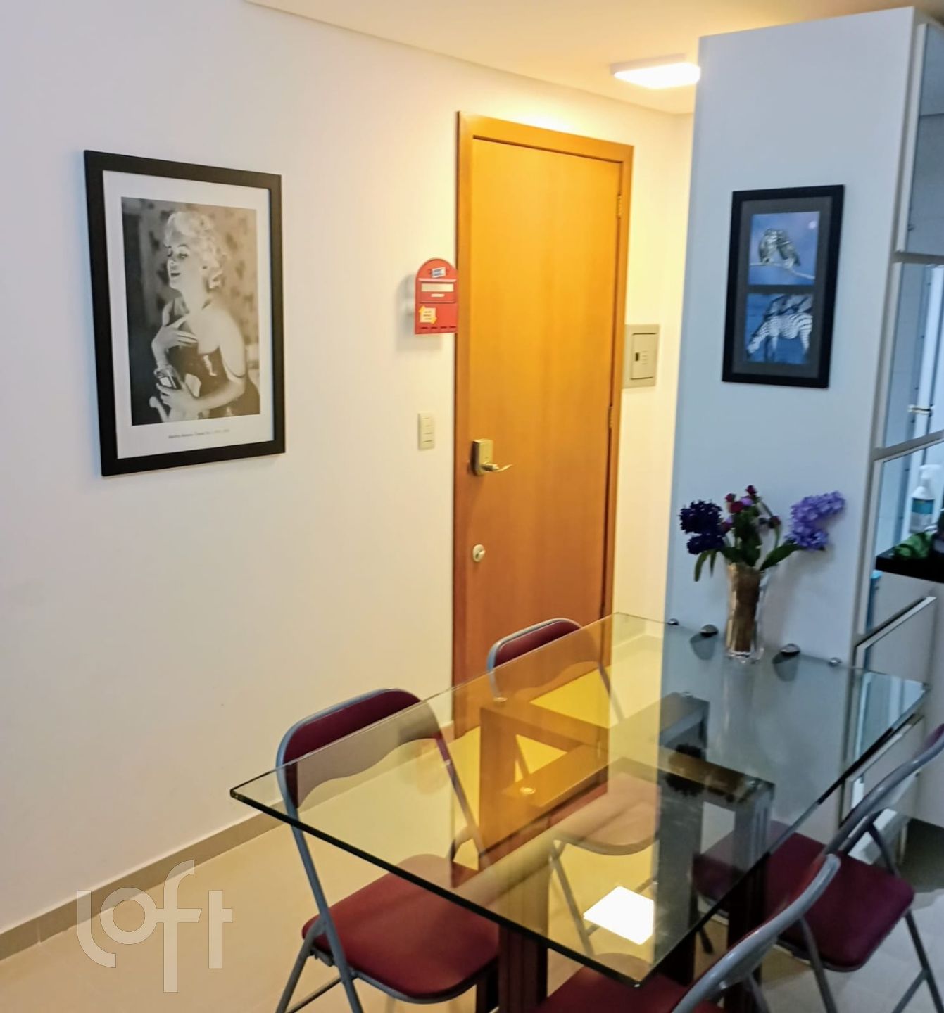 Imagem da propriedade 8