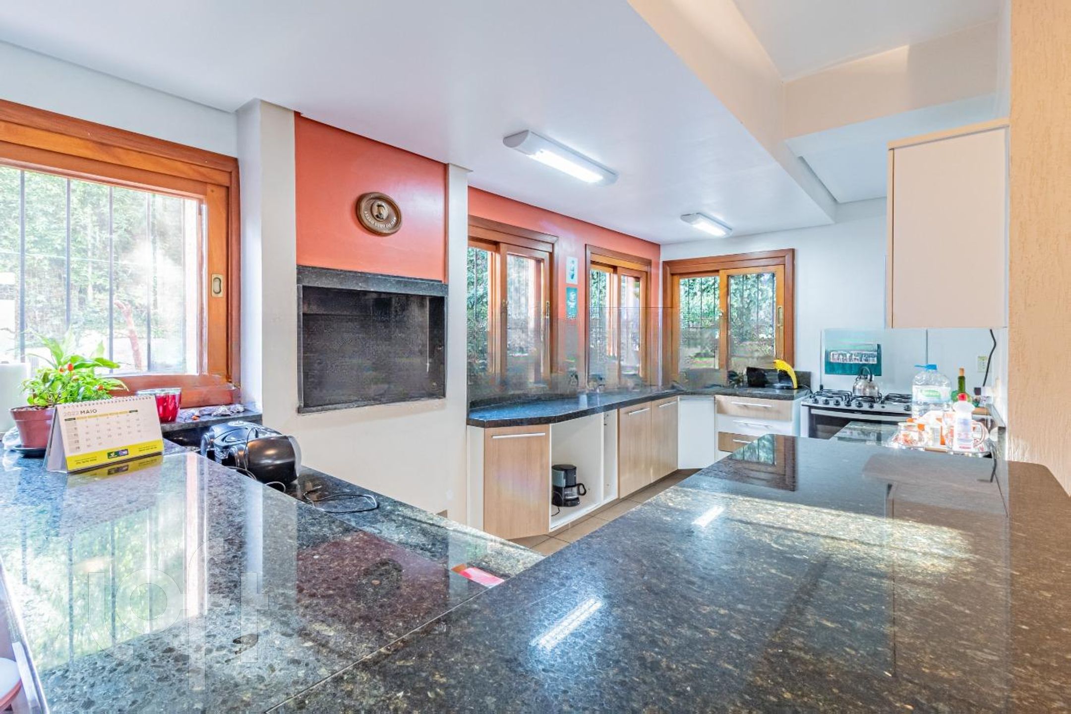 Imagem da propriedade 6