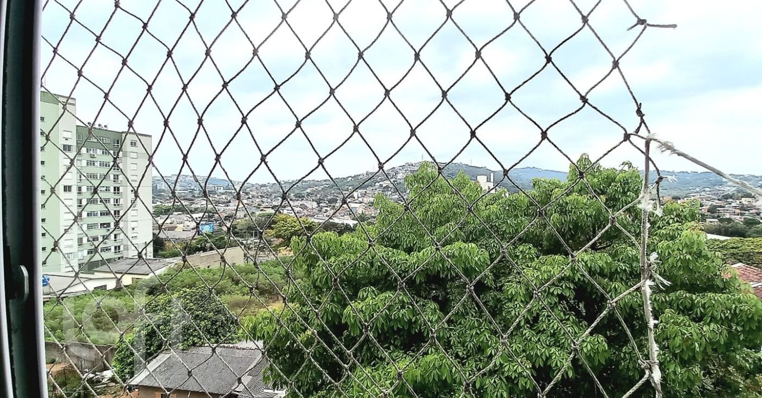 Imagem da propriedade 8