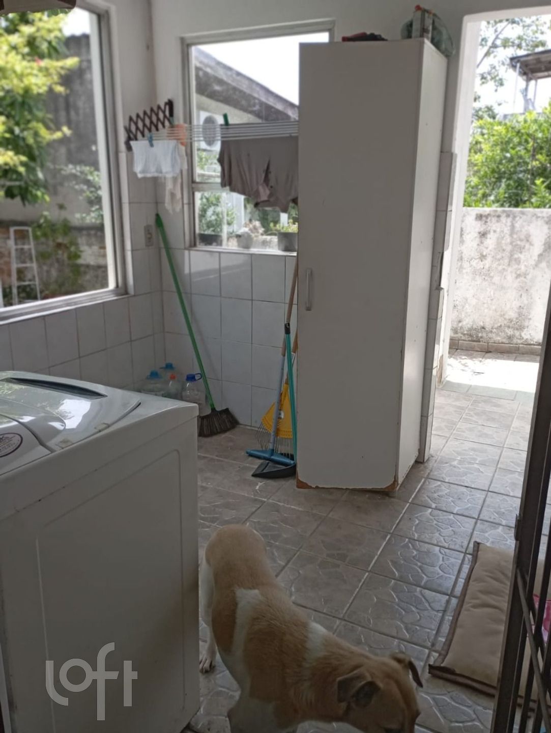 Imagem da propriedade 15