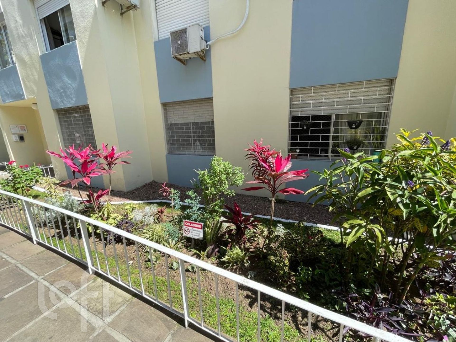 Imagem da propriedade 18