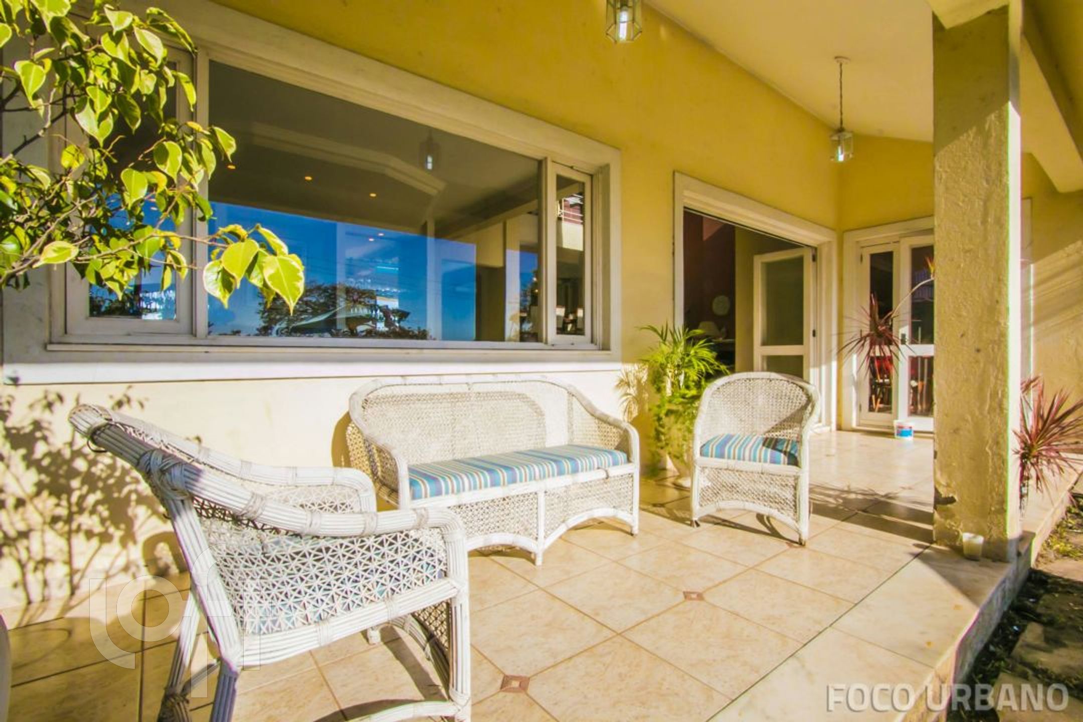 Imagem da propriedade 6