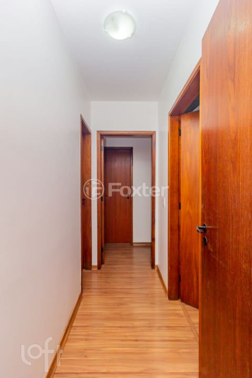 Imagem da propriedade 6