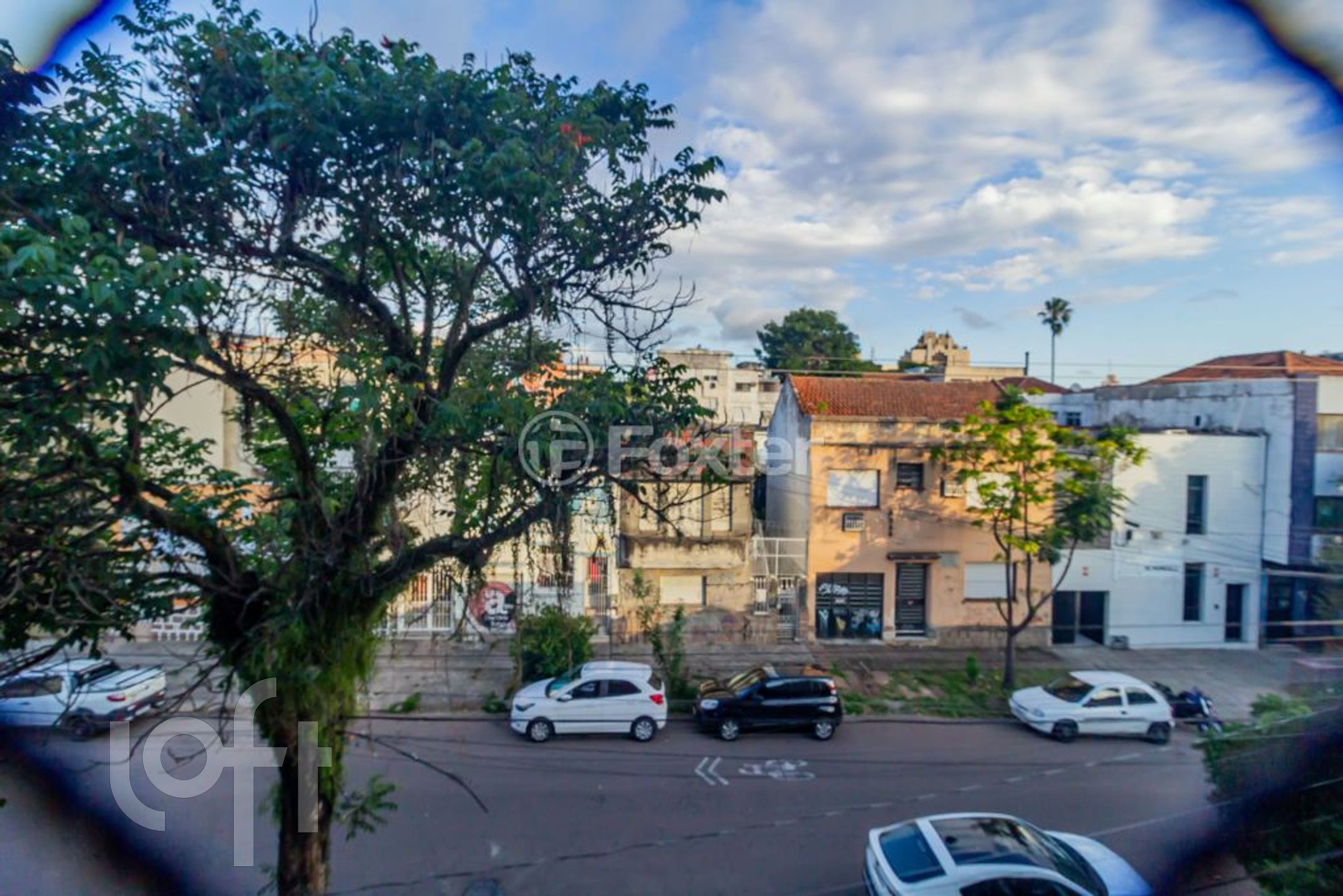 Imagem da propriedade 15