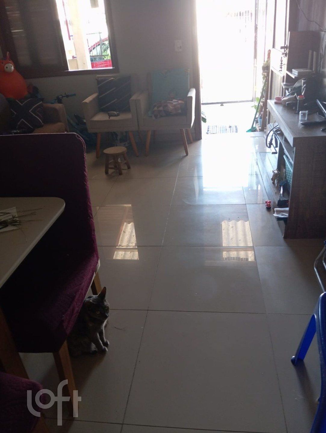 Imagem da propriedade 12