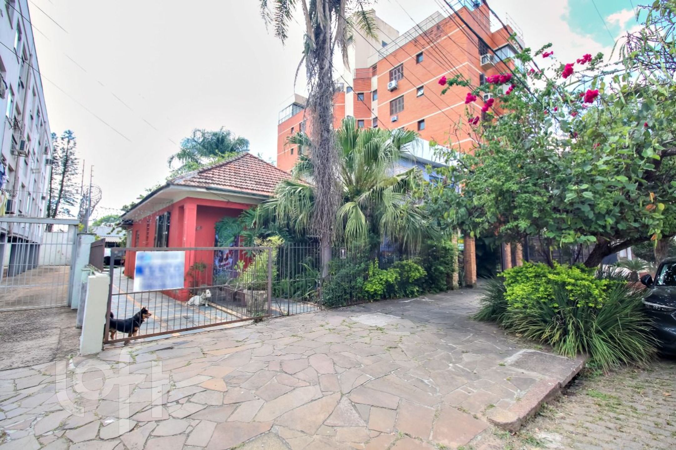 Imagem da propriedade 6