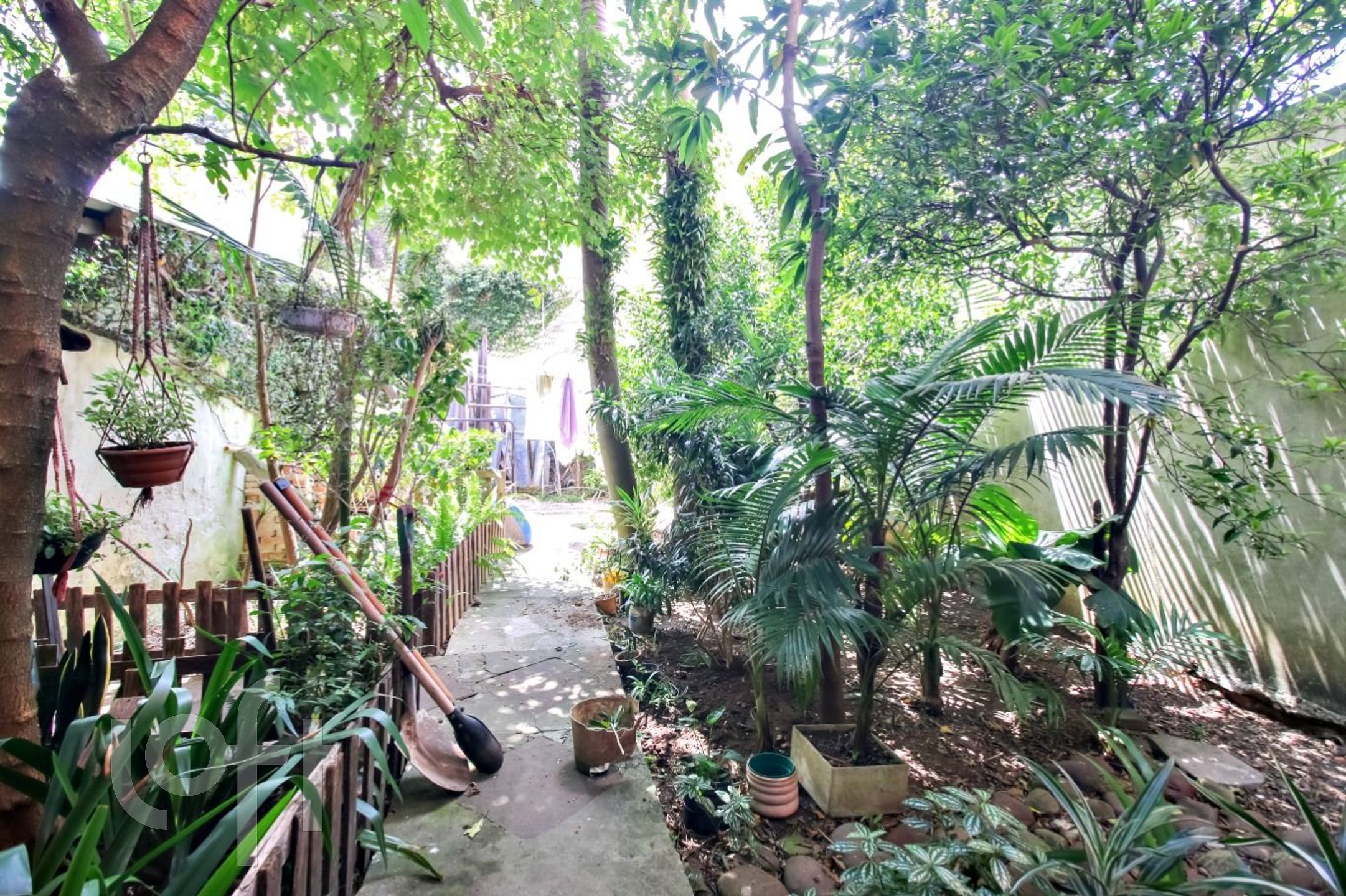 Imagem da propriedade 8