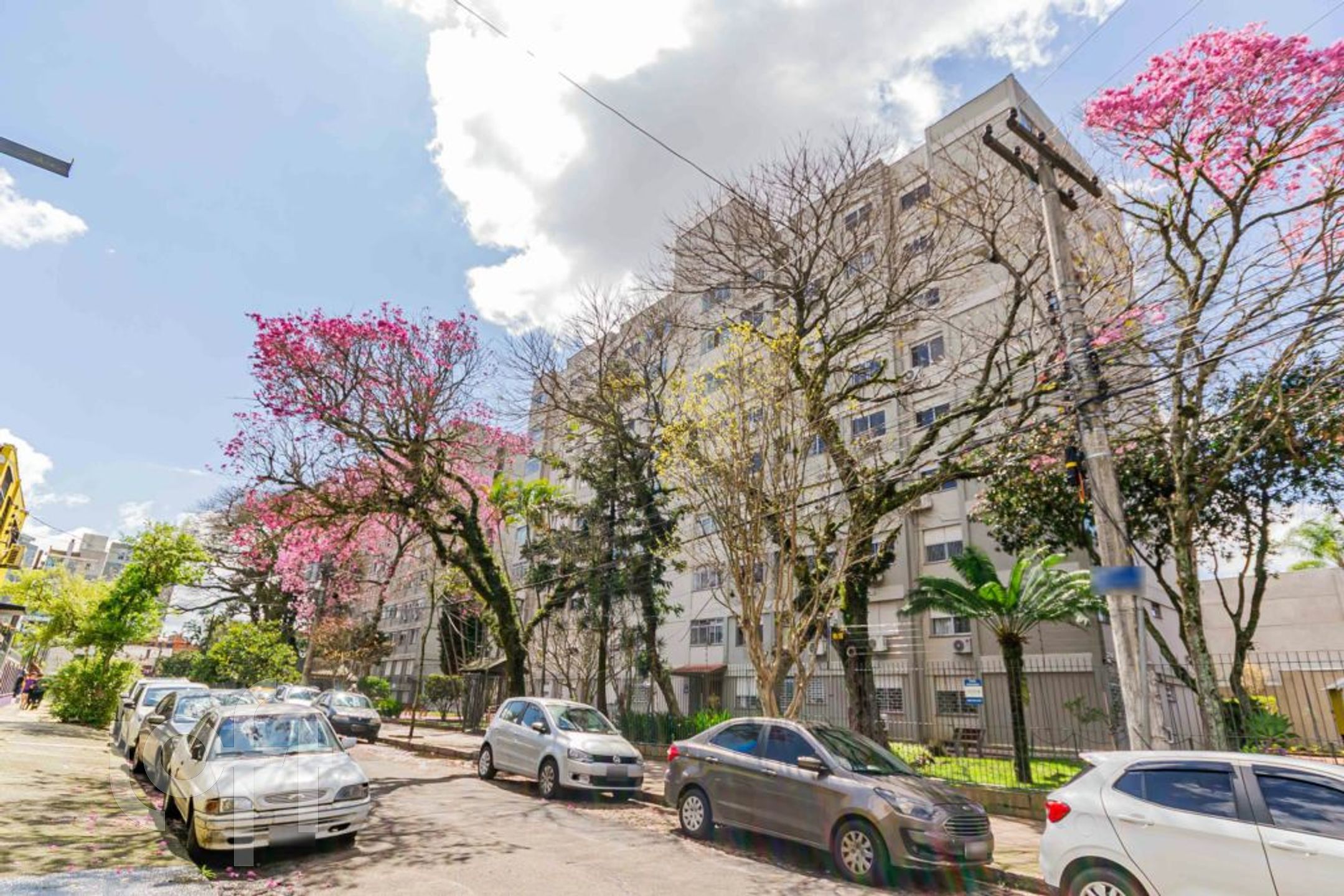 Imagem da propriedade 21