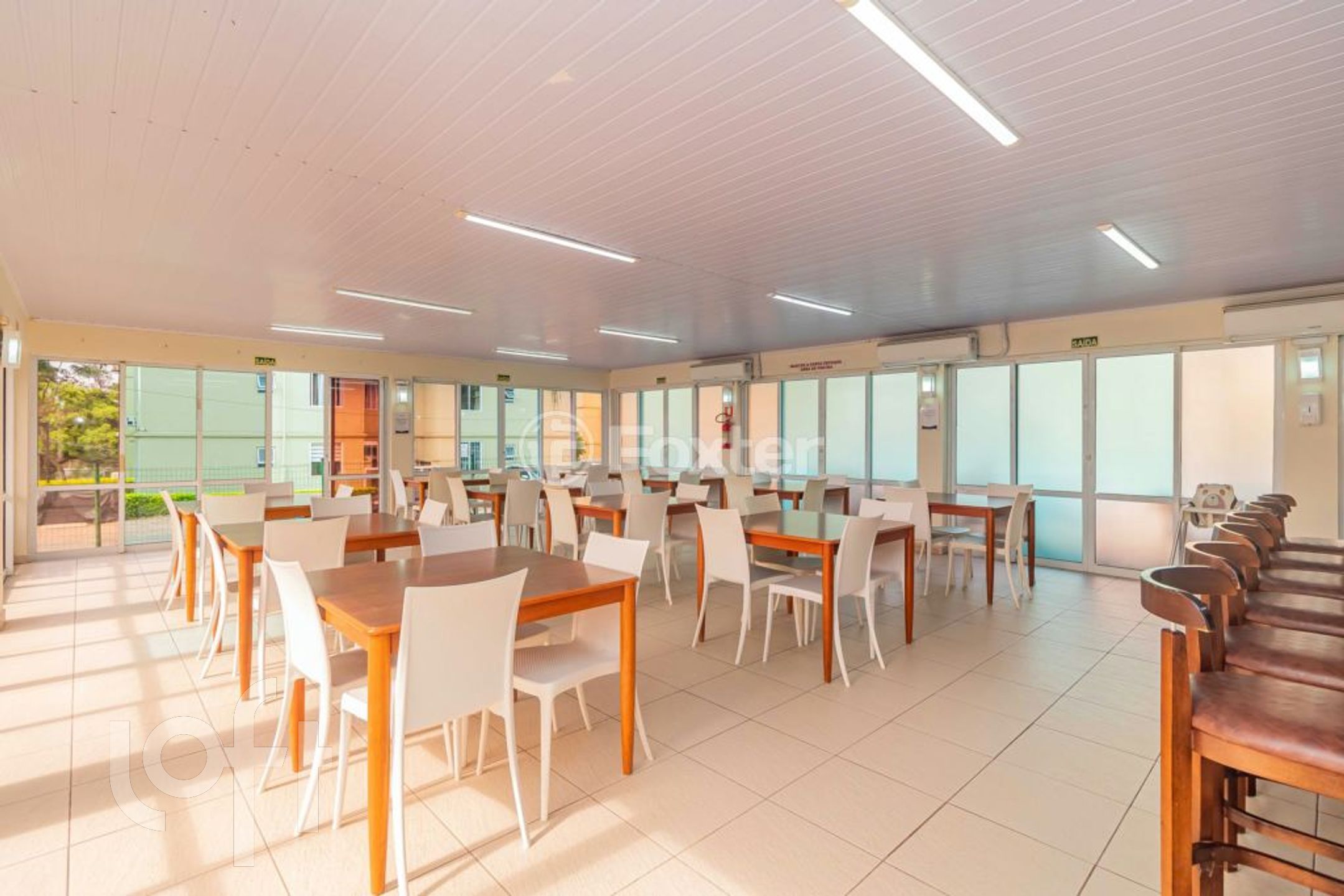 Imagem da propriedade 19