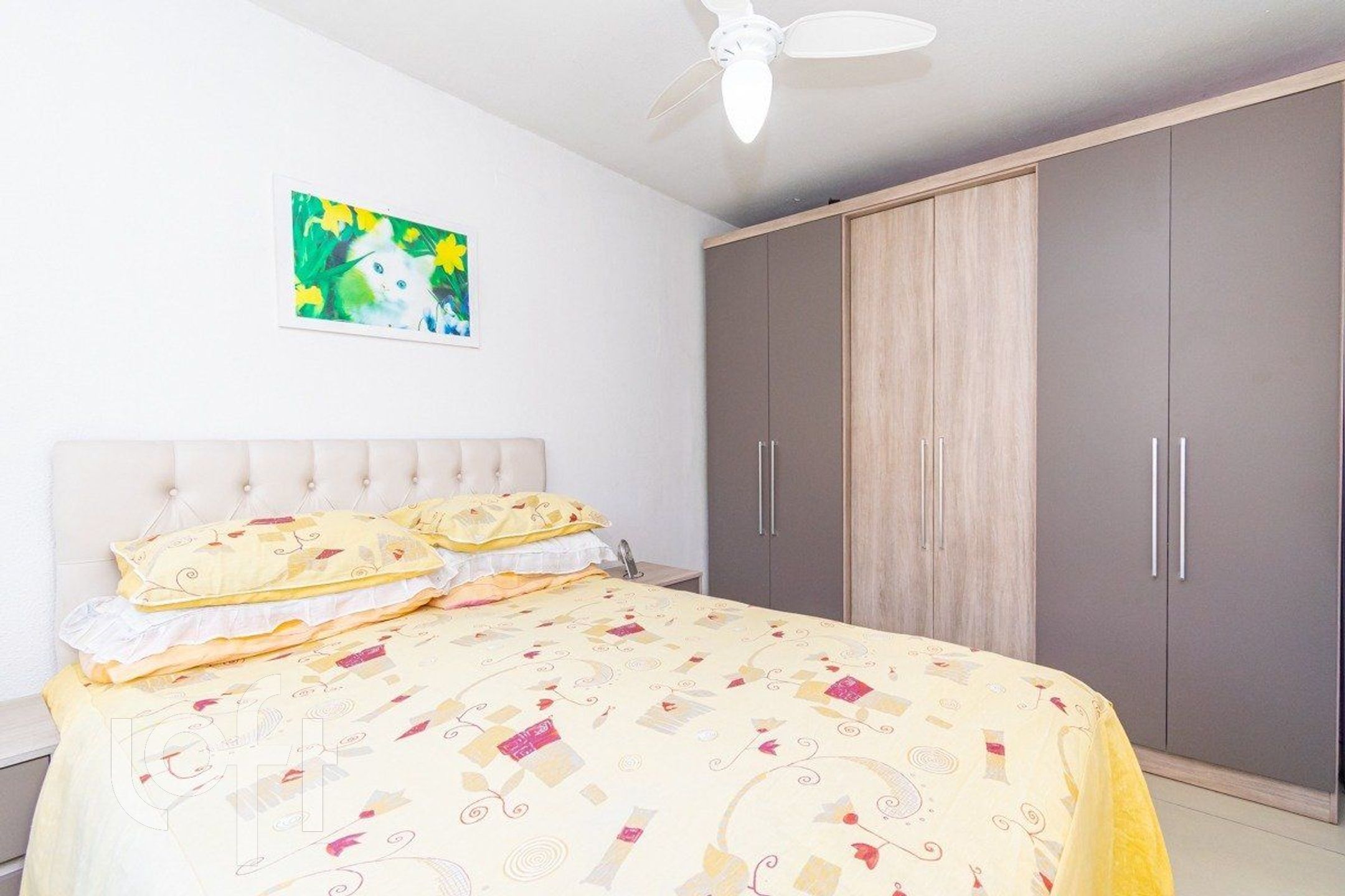 Imagem da propriedade 9