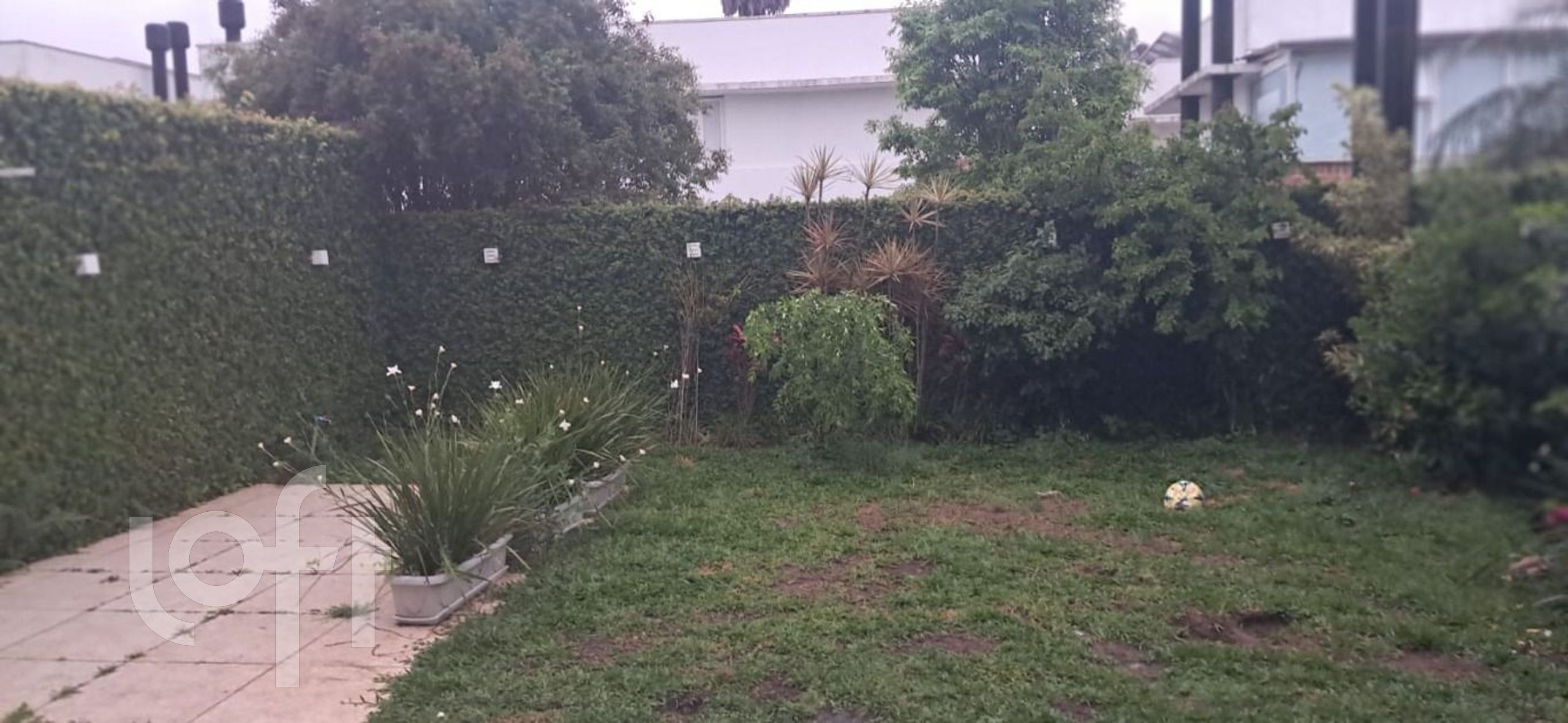 Imagem da propriedade 14