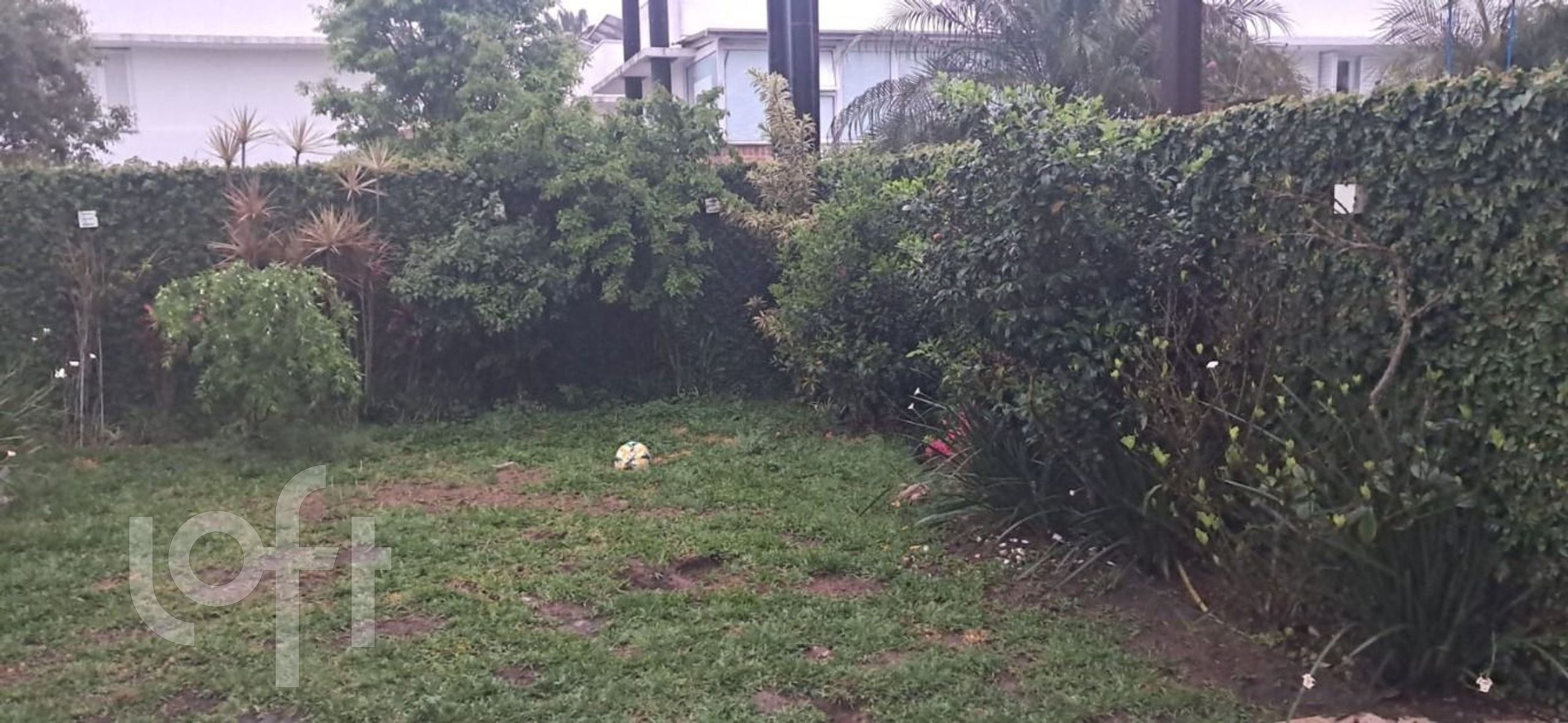 Imagem da propriedade 9