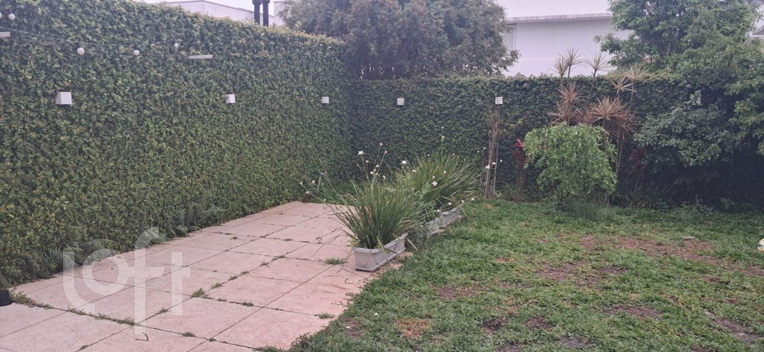 Imagem da propriedade 10