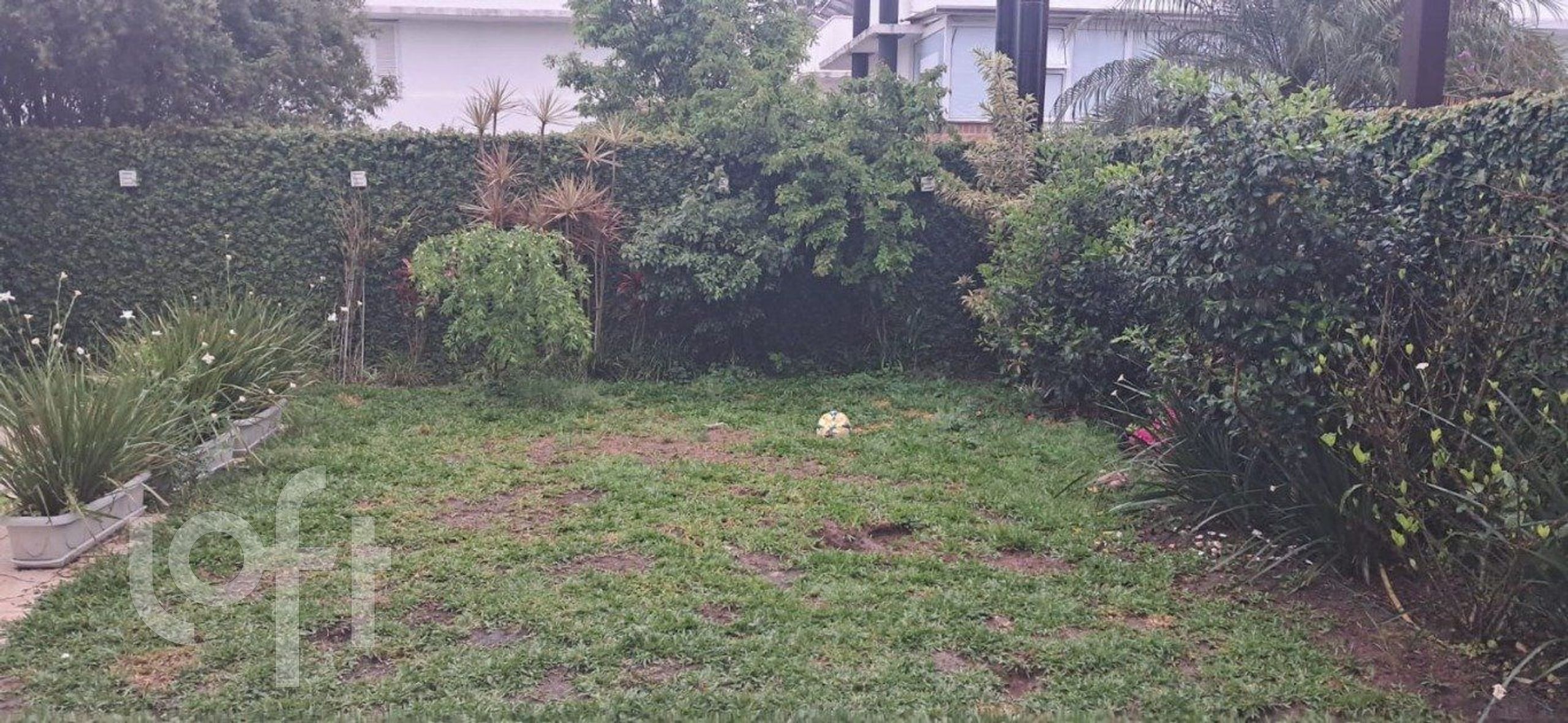 Imagem da propriedade 13