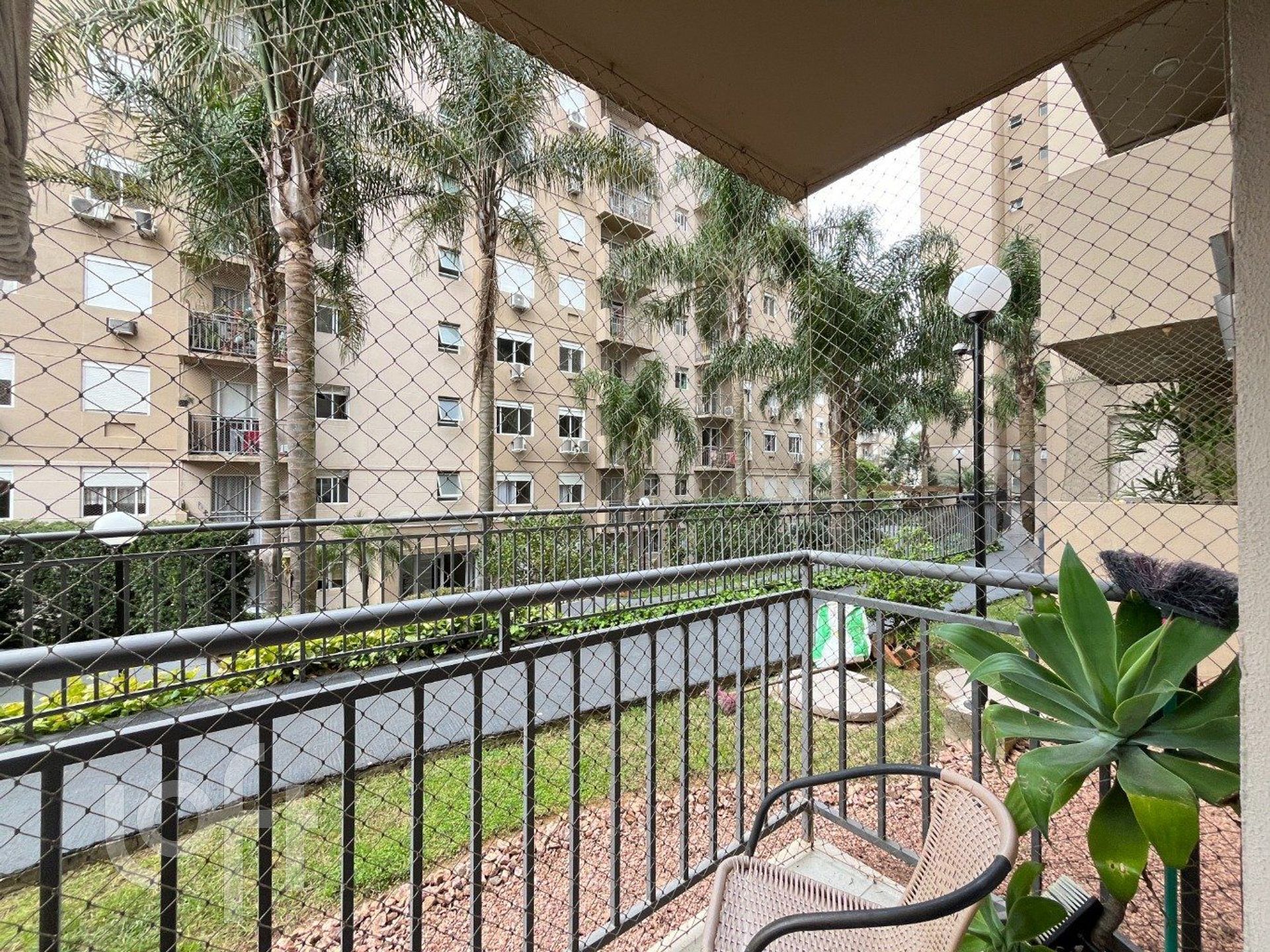 Imagem da propriedade 33