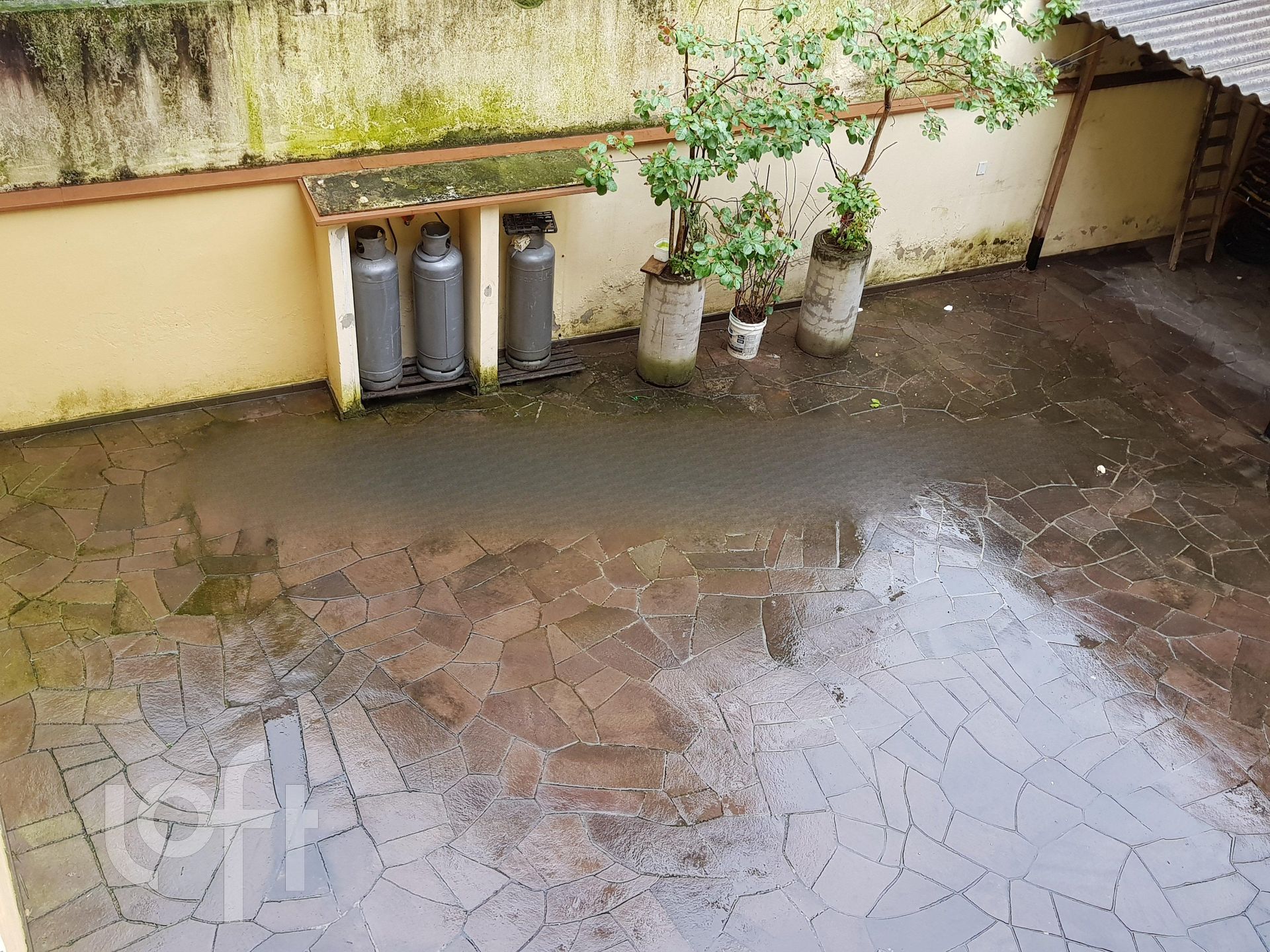 Imagem da propriedade 13