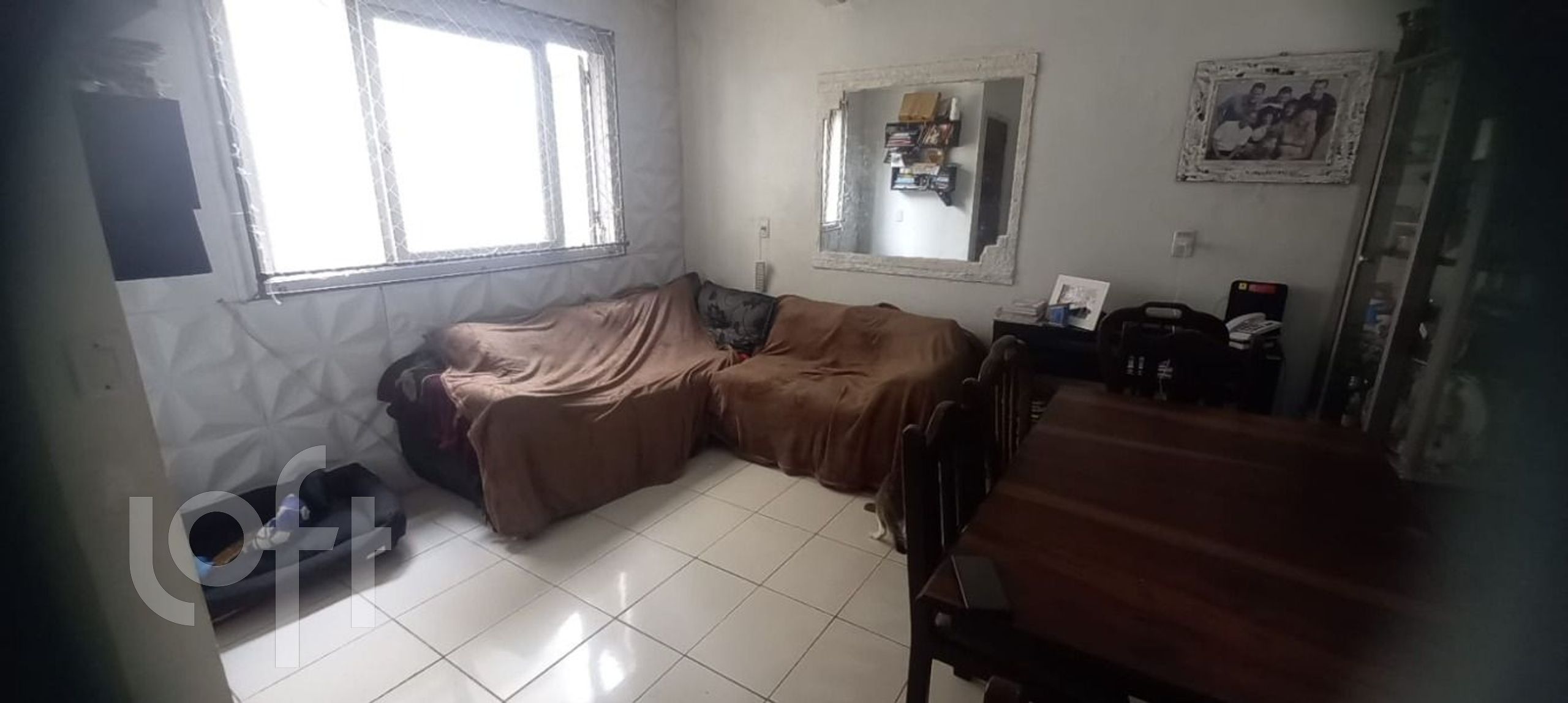 Imagem da propriedade 3