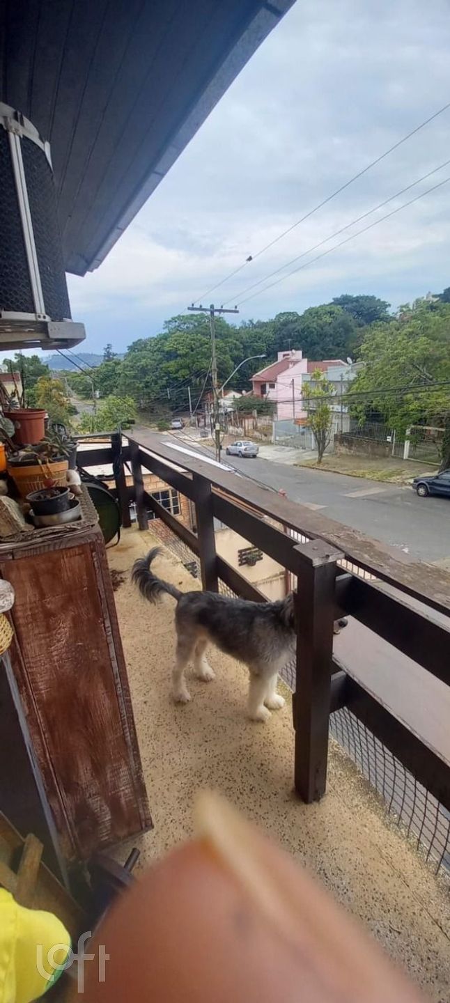 Imagem da propriedade 10