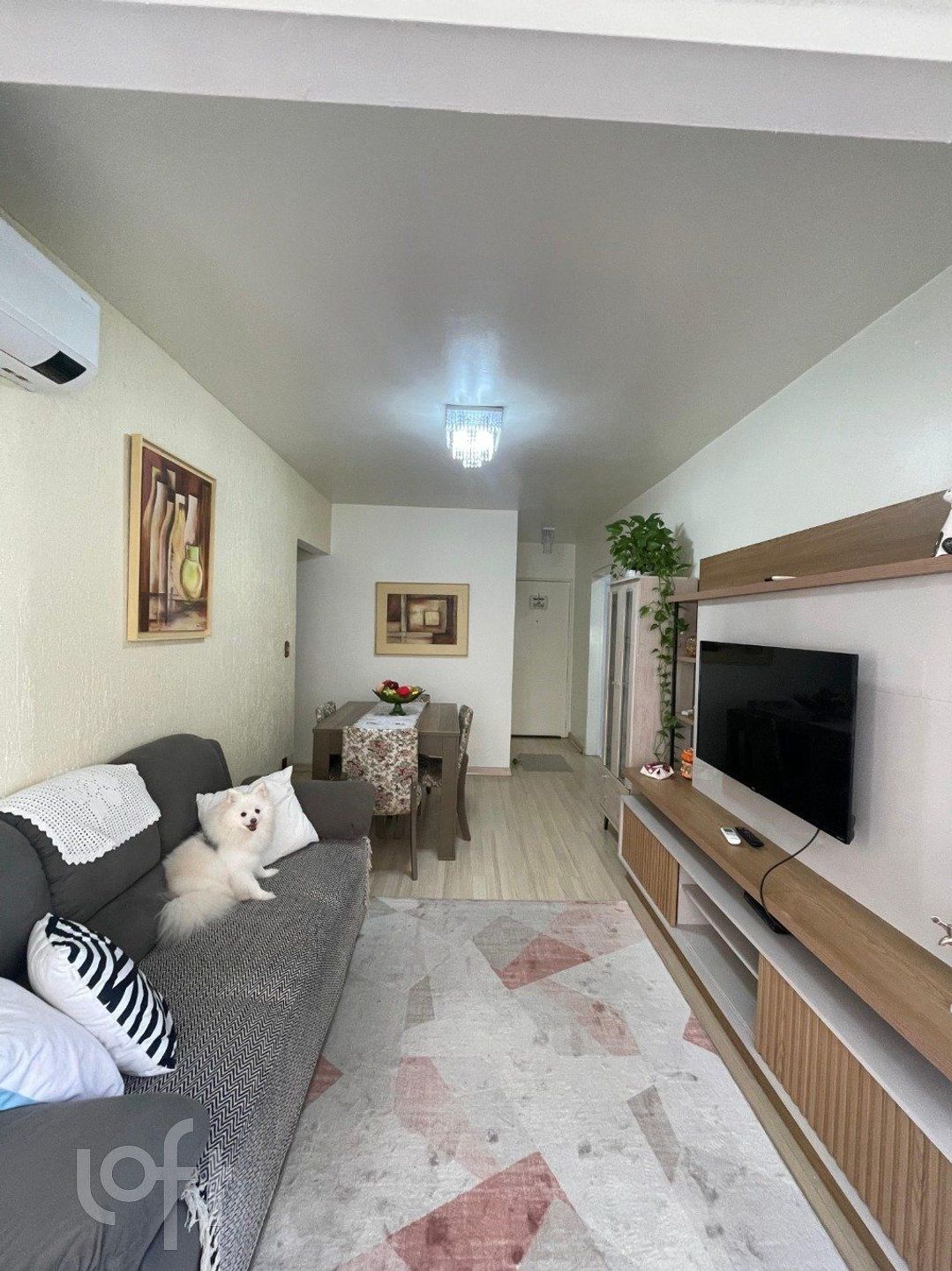 Imagem da propriedade 14