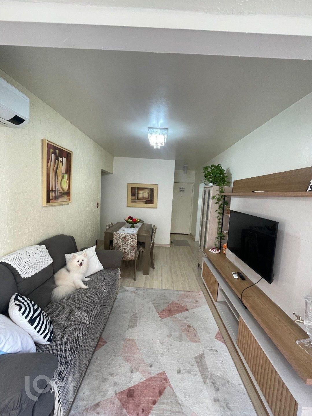 Imagem da propriedade 15