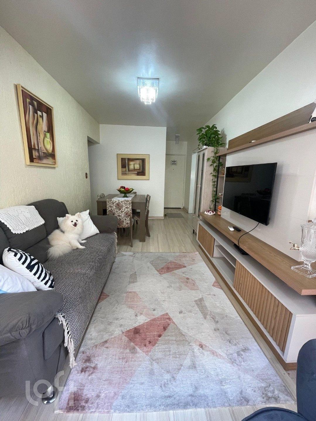 Imagem da propriedade 16