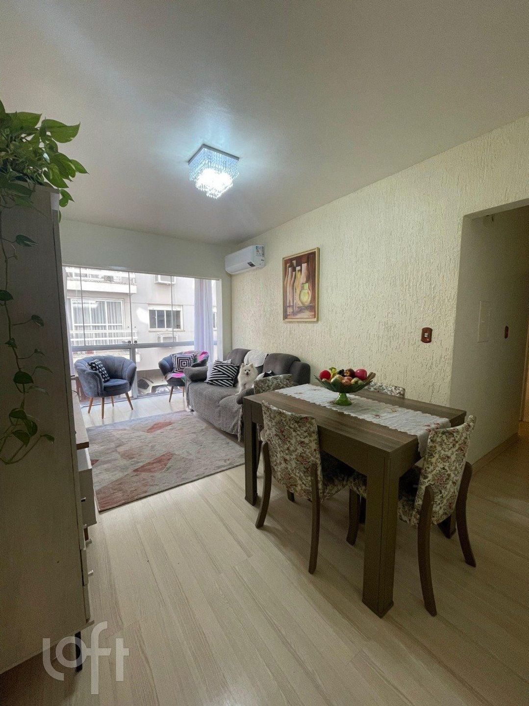 Imagem da propriedade 21