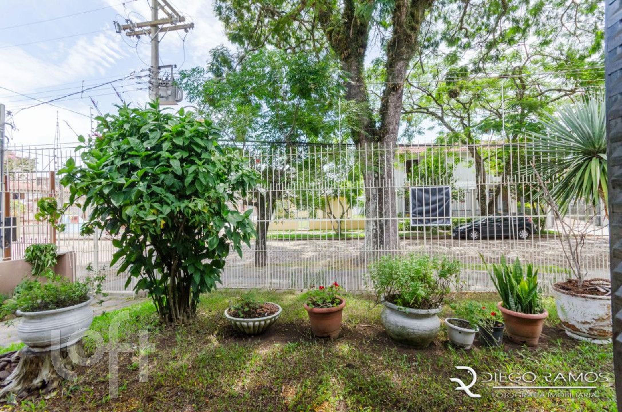 Imagem da propriedade 14