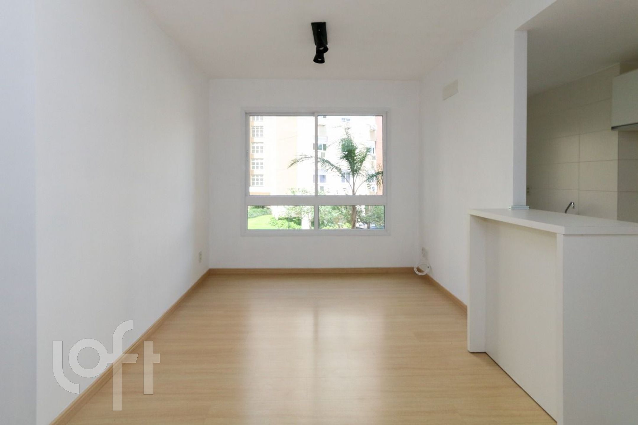 Imagem da propriedade 19