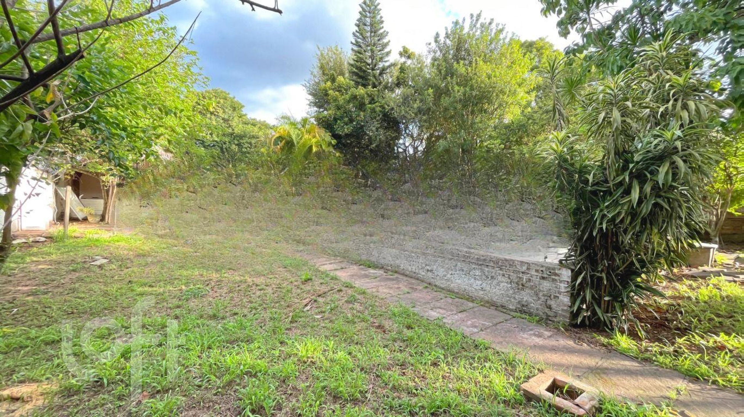 Imagem da propriedade 31