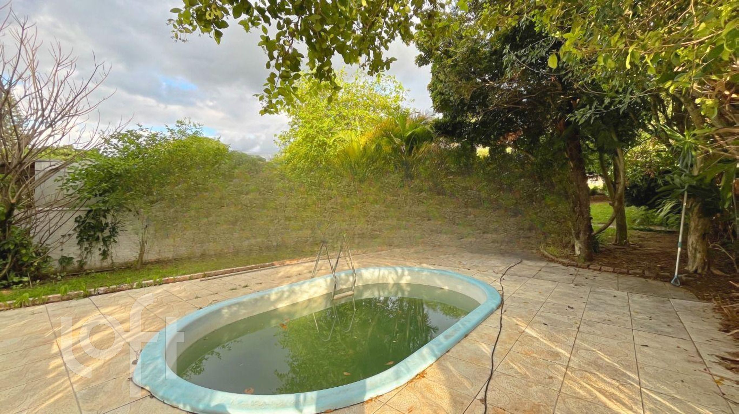 Imagem da propriedade 34