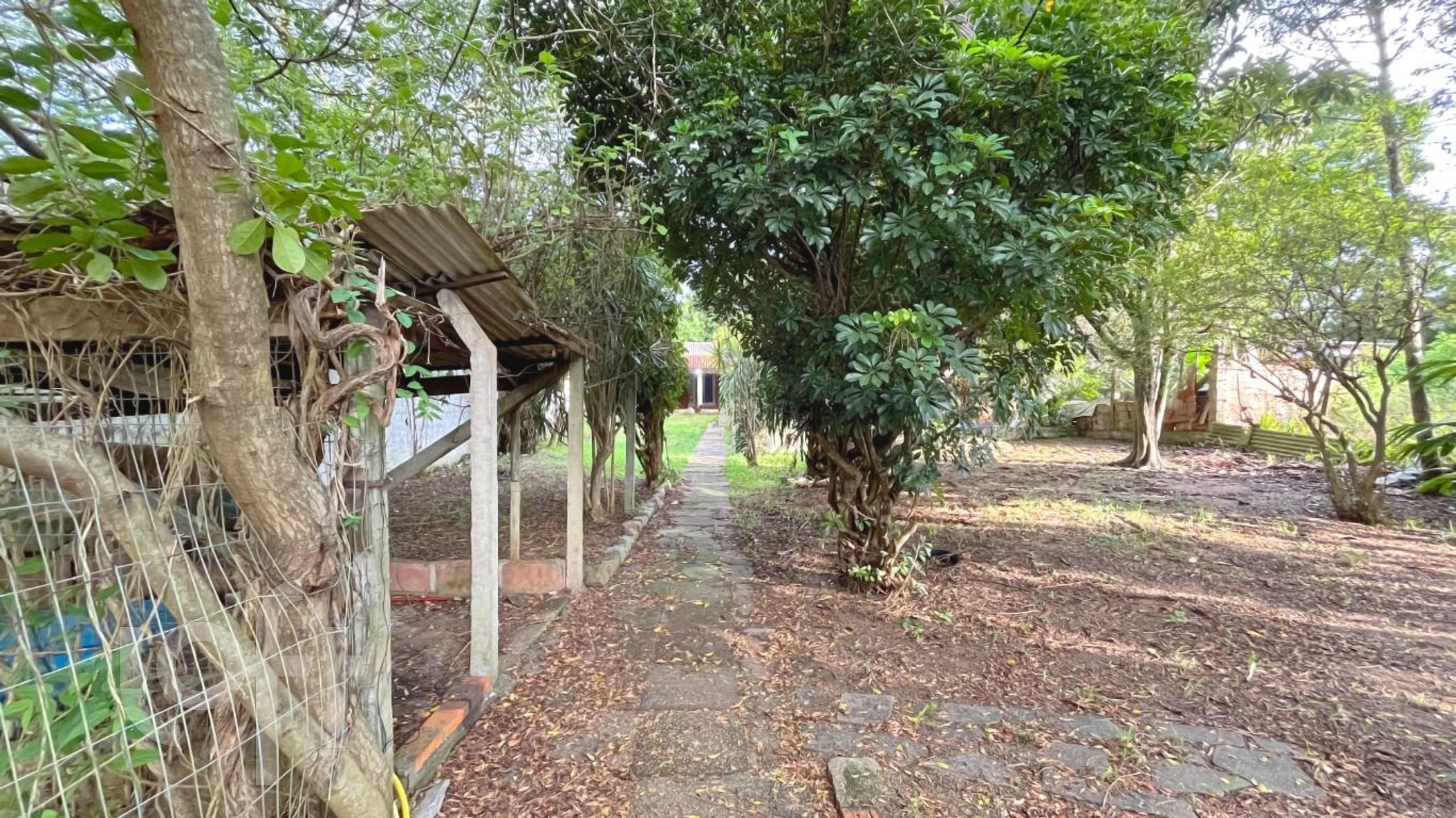 Imagem da propriedade 36