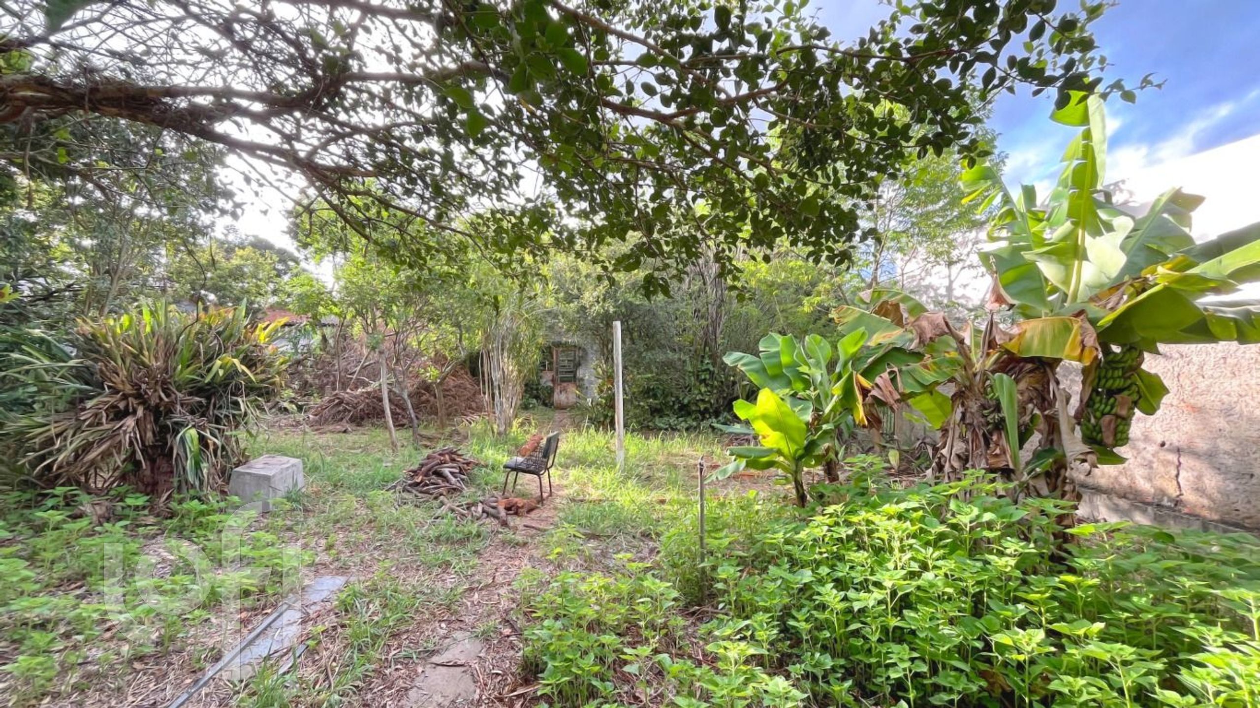 Imagem da propriedade 37