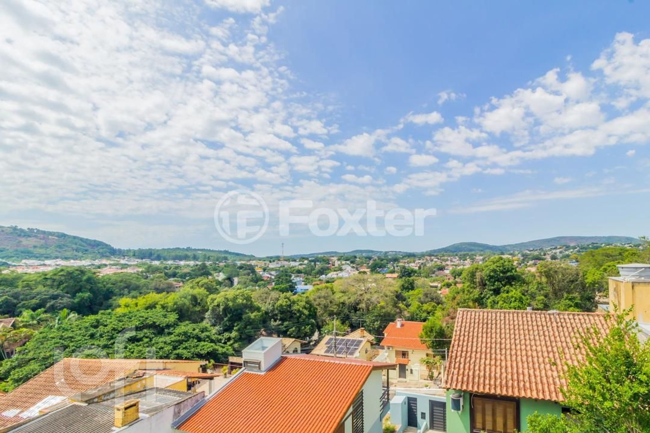 Imagem da propriedade 19