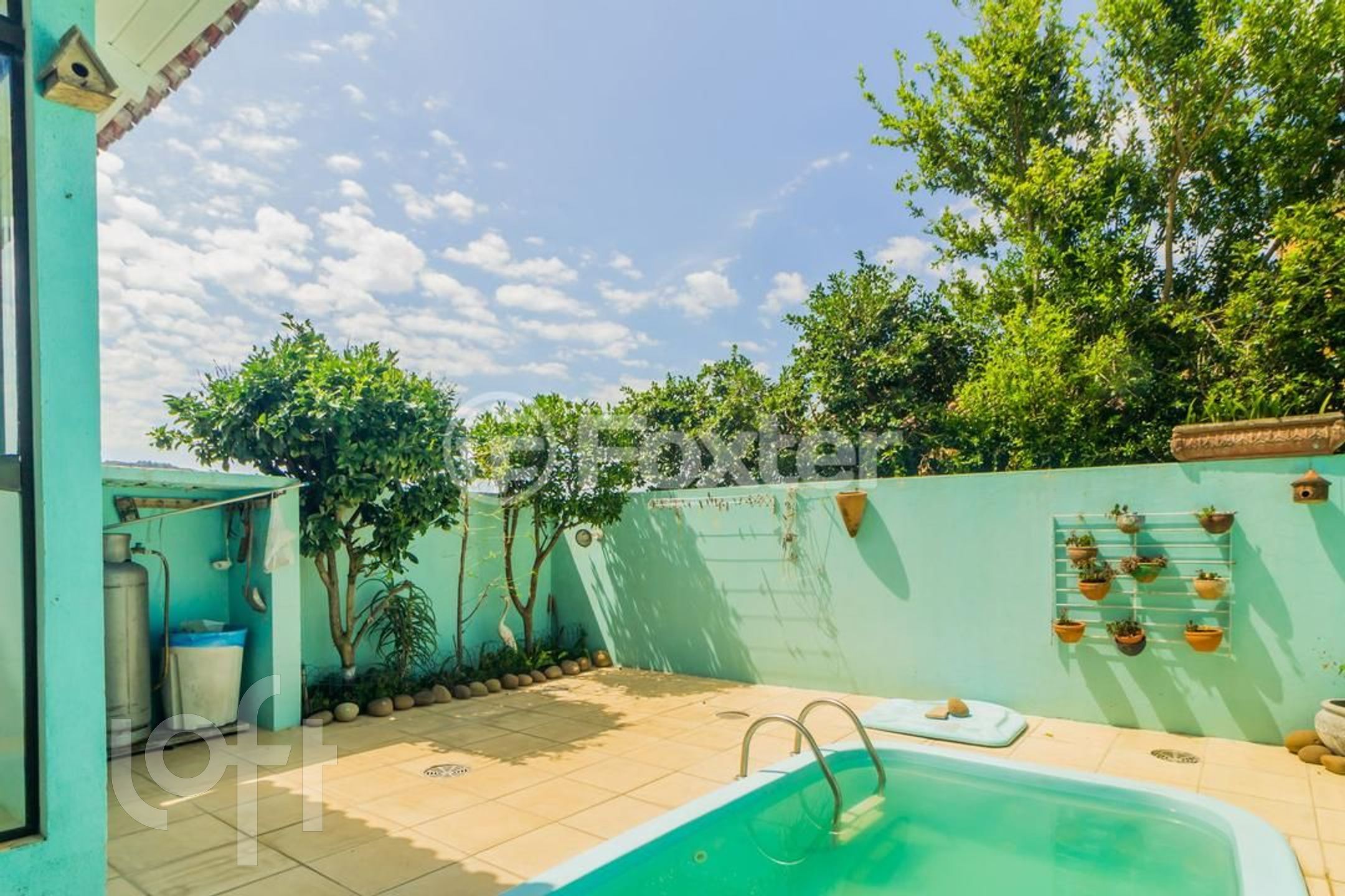 Imagem da propriedade 3