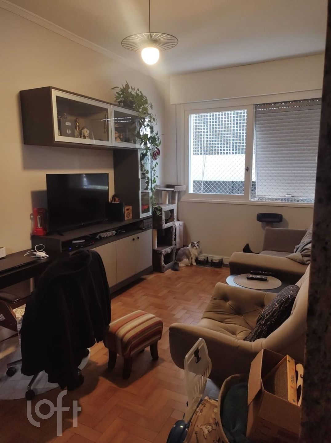 Imagem da propriedade 3