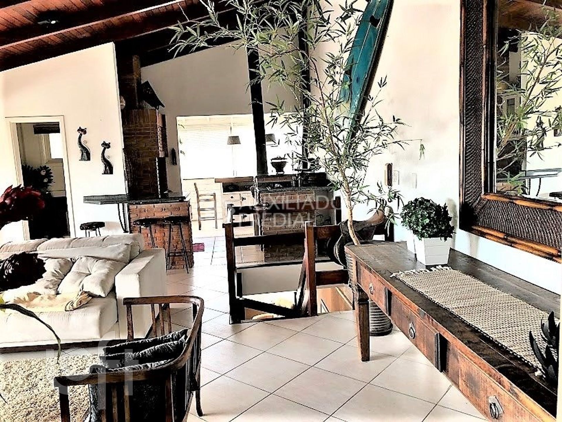 Imagem da propriedade 3