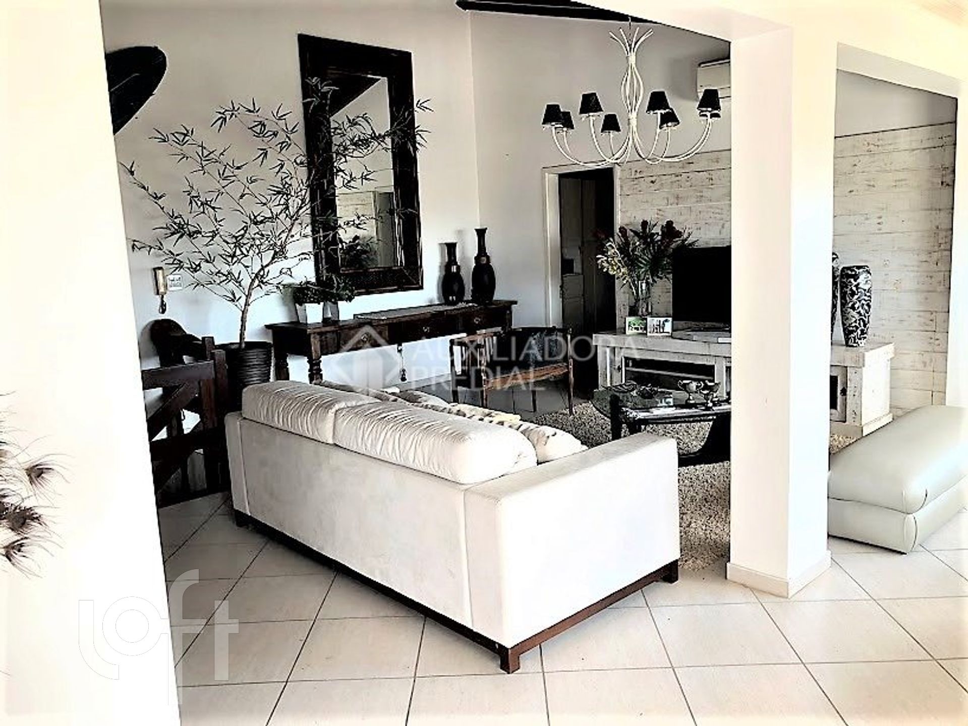 Imagem da propriedade 4