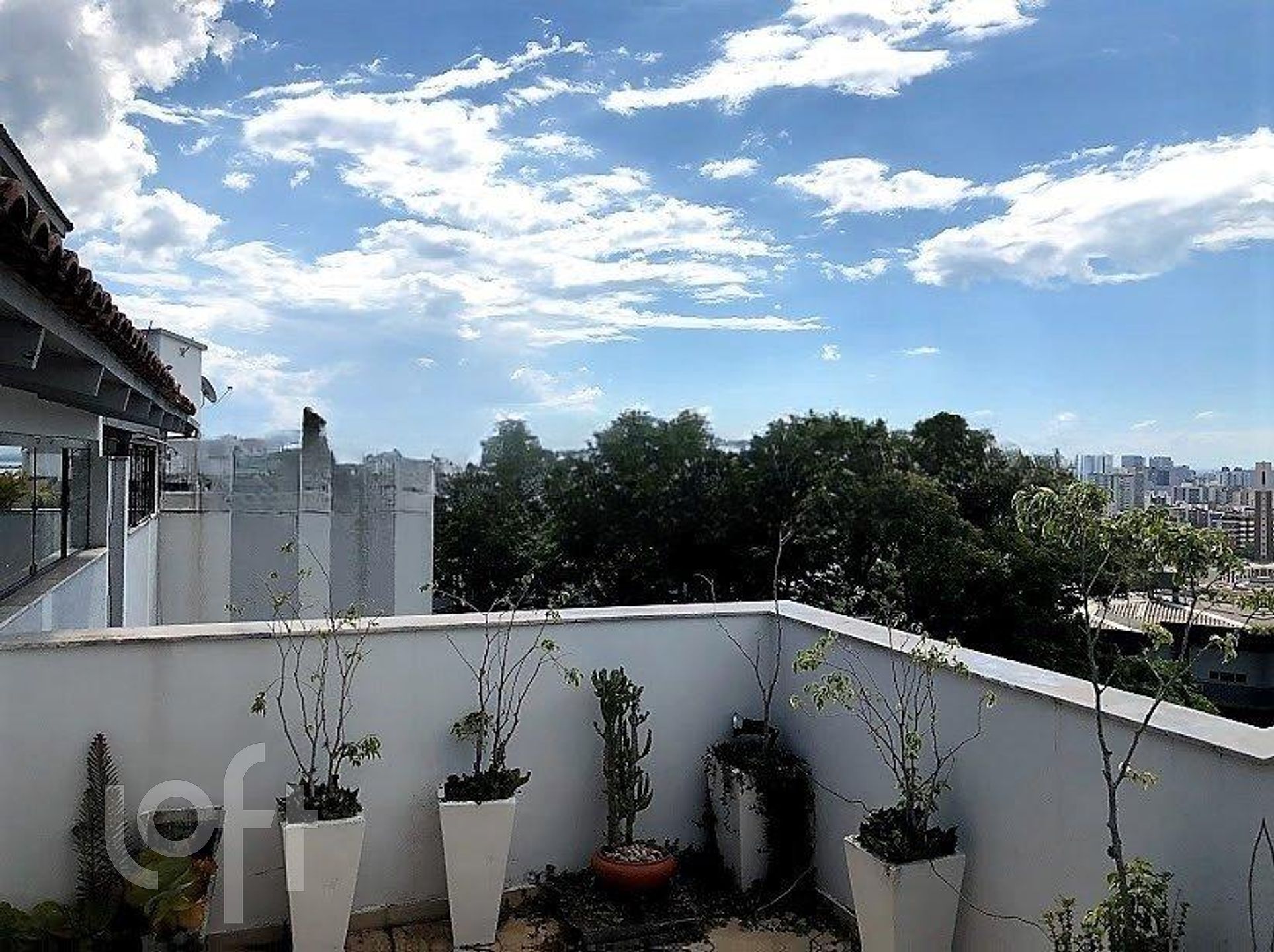 Imagem da propriedade 11