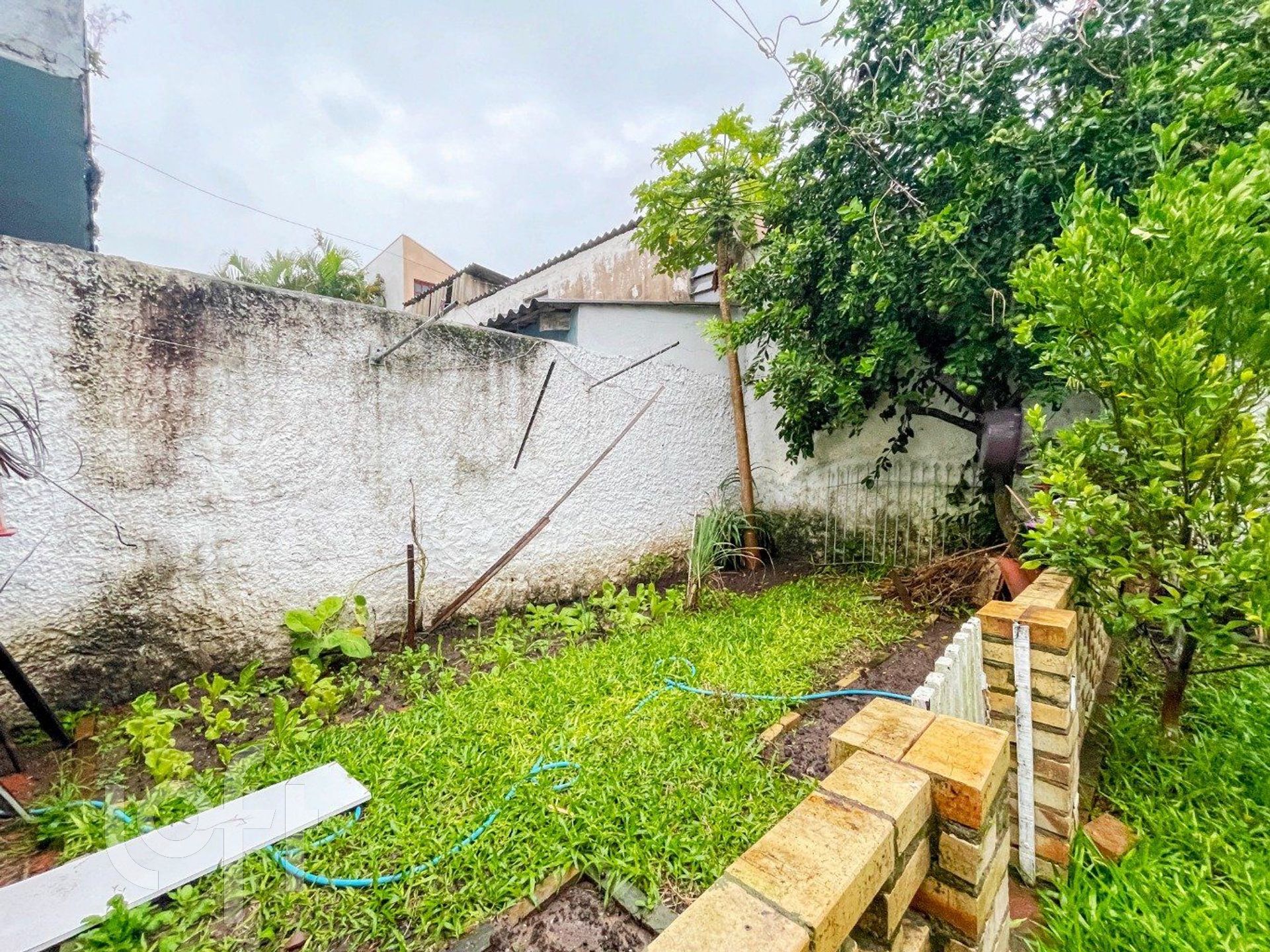 Imagem da propriedade 26