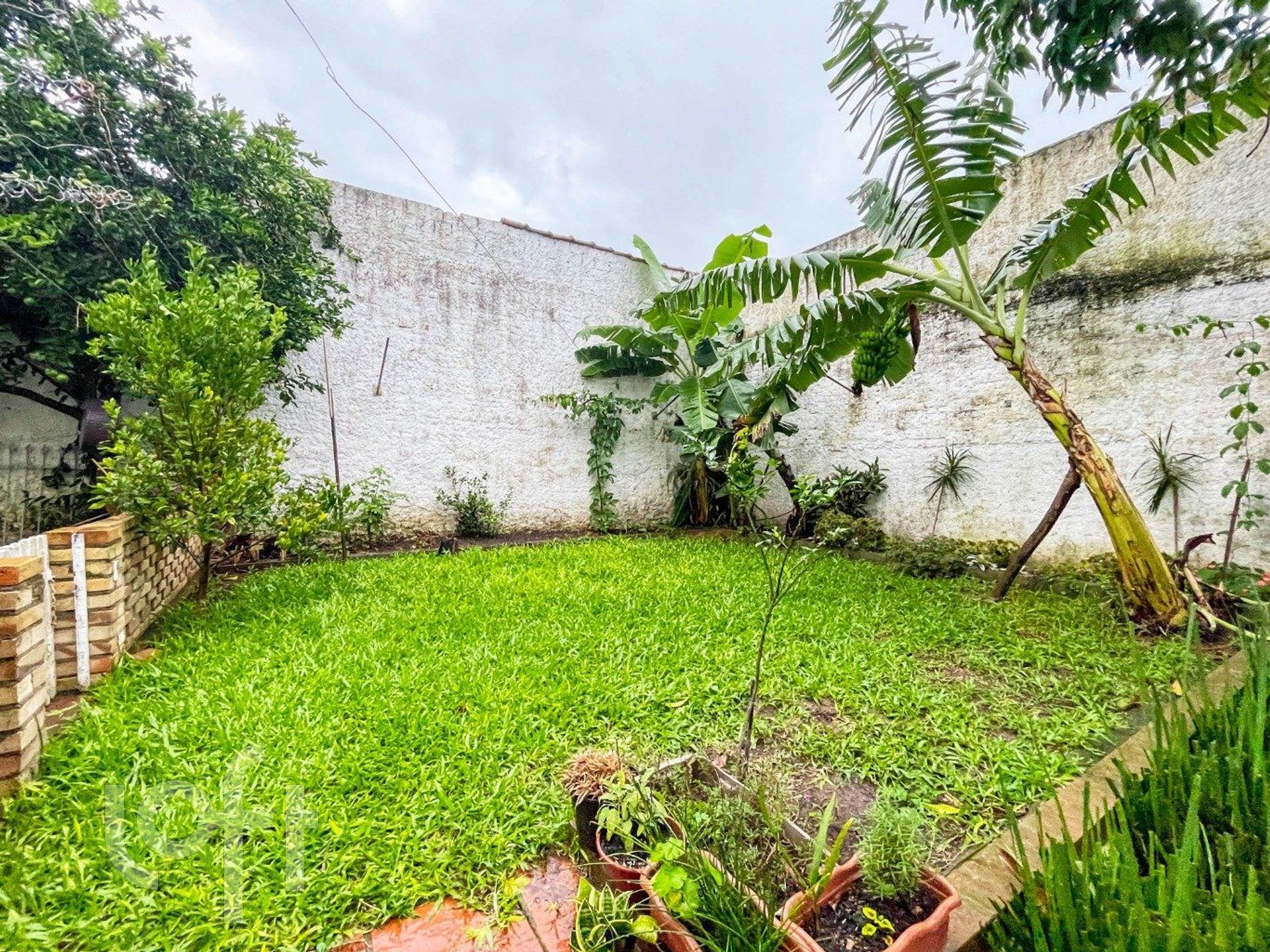 Imagem da propriedade 25